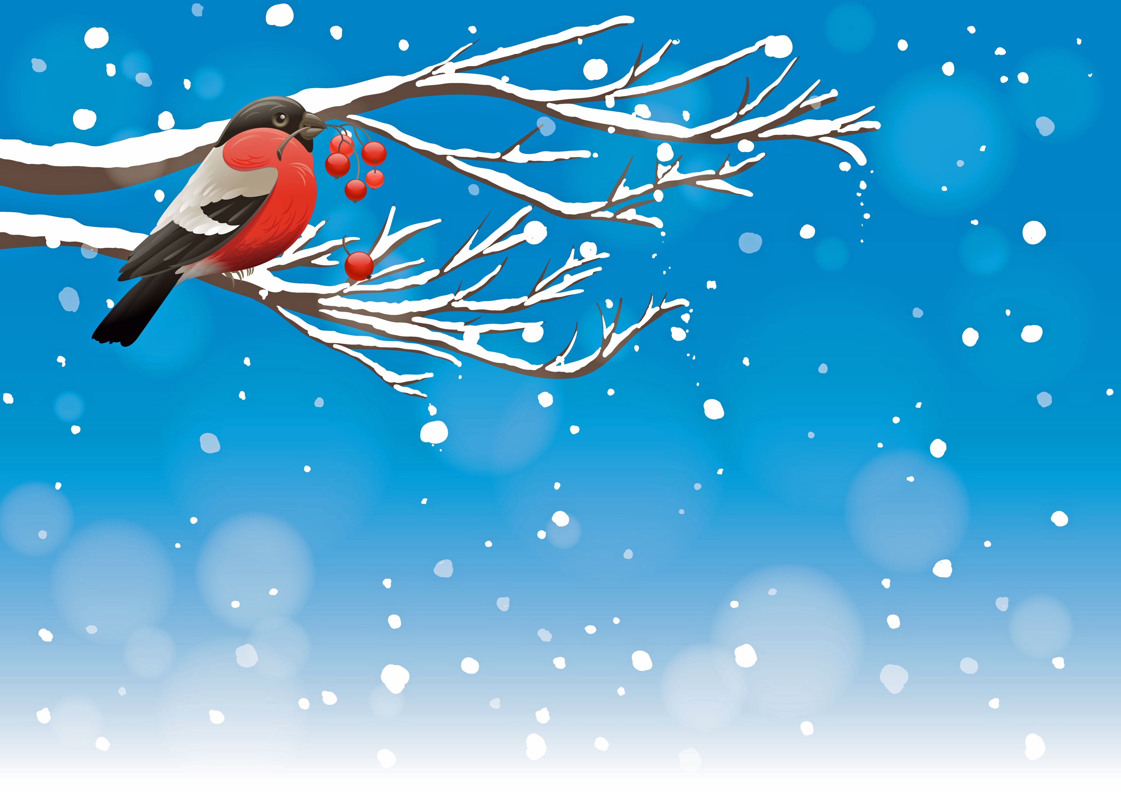 Free download wallpaper Winter, Birds, Snow, Bird, Animal on your PC desktop
