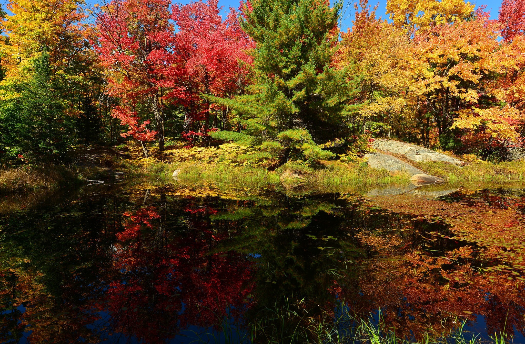 Free download wallpaper Lake, Reflection, Wood, Leaf, Fall, Earth on your PC desktop