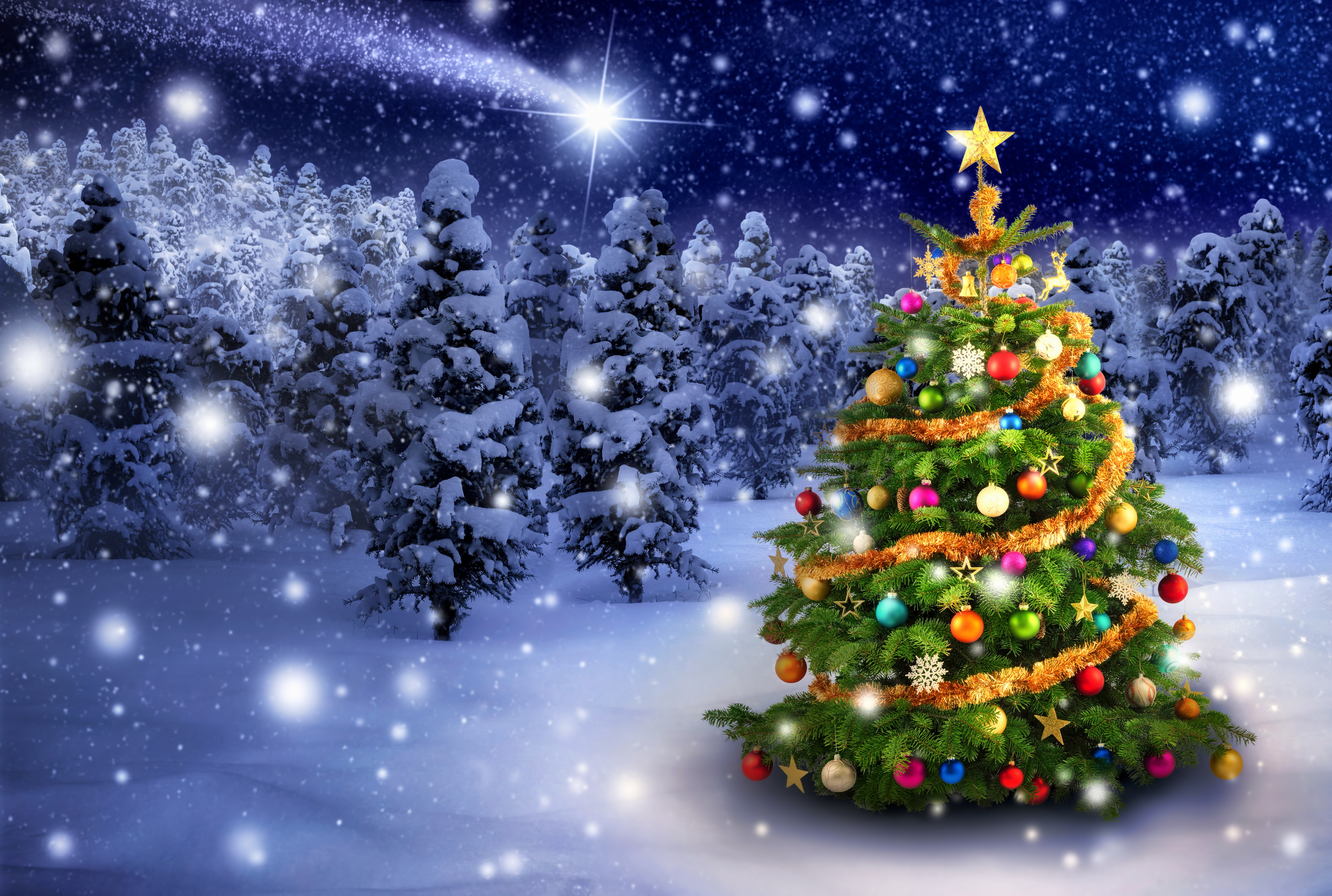 Скачать картинку Снег, Свет, Лес, Рождество, Рождественская Елка, Праздничные в телефон бесплатно.