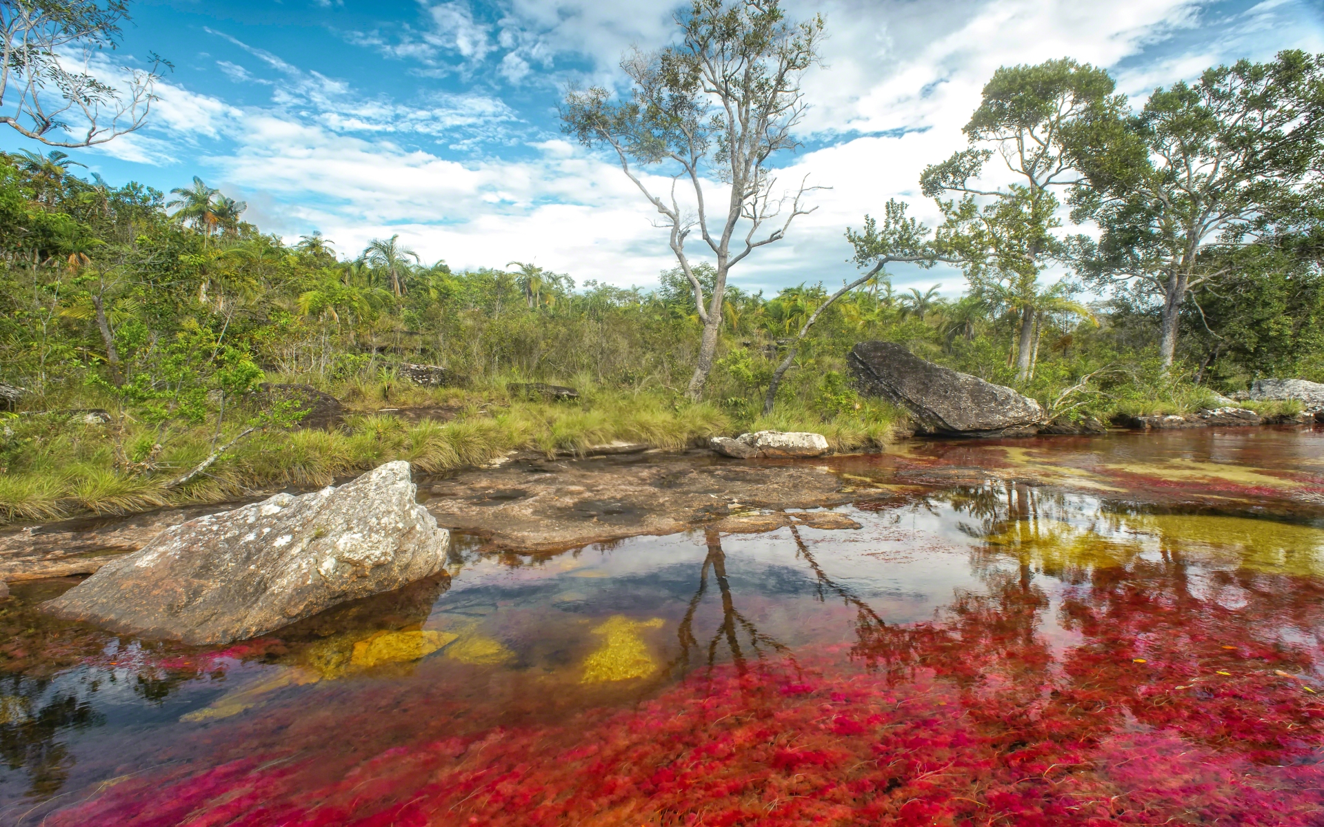 642359 Hintergrundbild herunterladen erde/natur, caño cristales - Bildschirmschoner und Bilder kostenlos