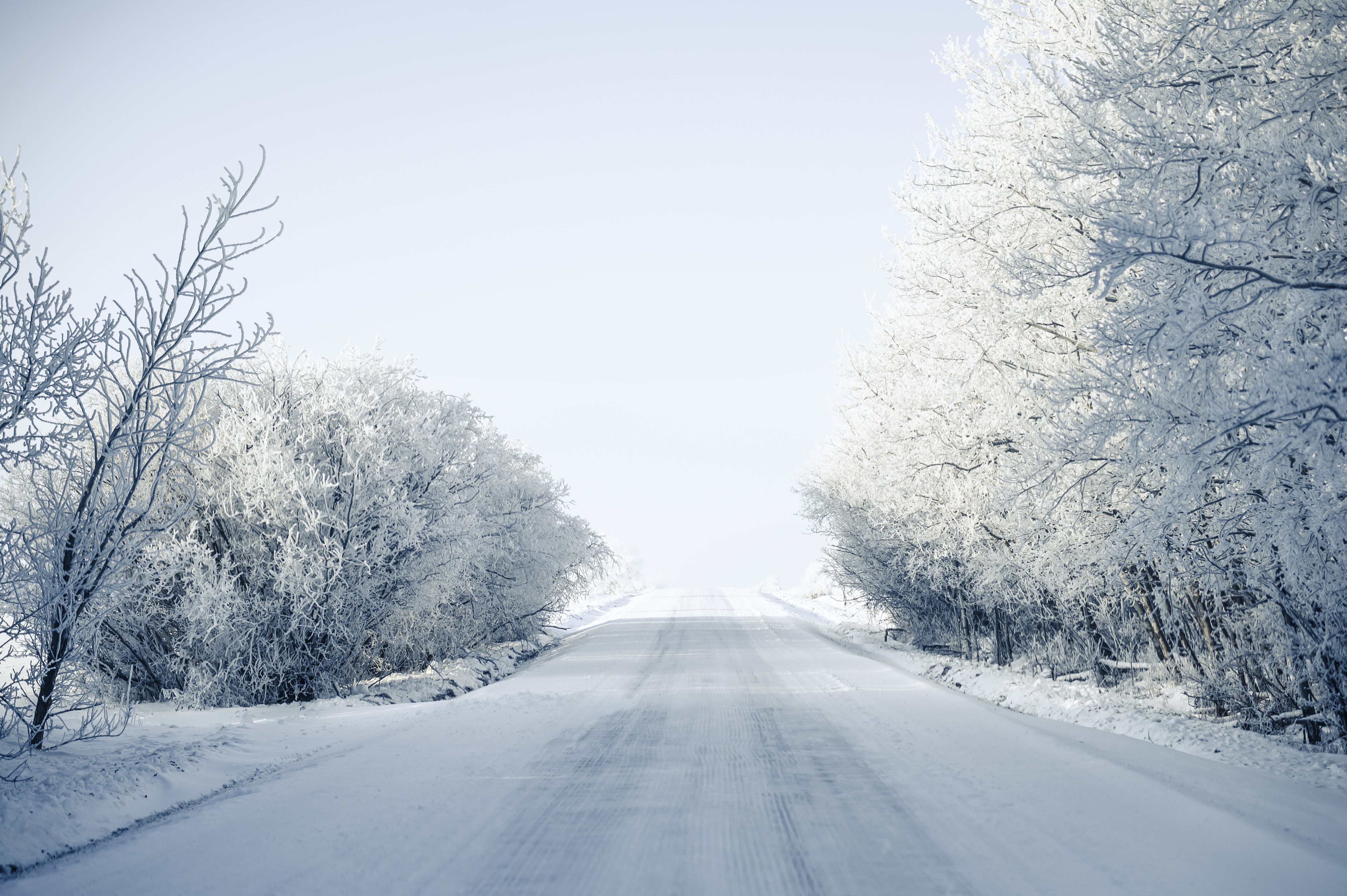 snow, winter, nature, trees, road, snow covered, snowbound Desktop Wallpaper
