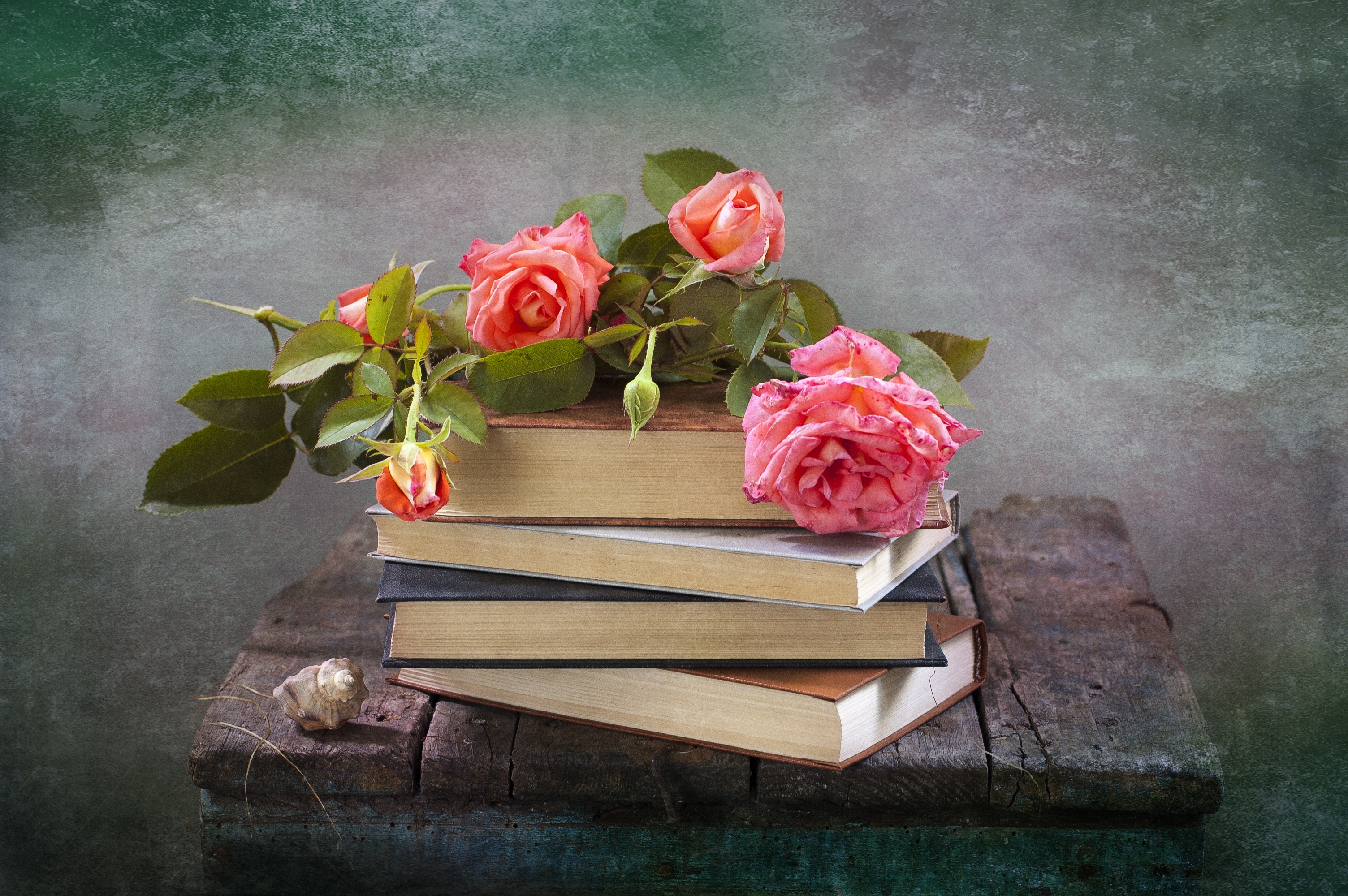 Скачать обои бесплатно Ракушки, Натюрморт, Цветок, Роза, Книга, Фотографии, Розовый Цветок картинка на рабочий стол ПК