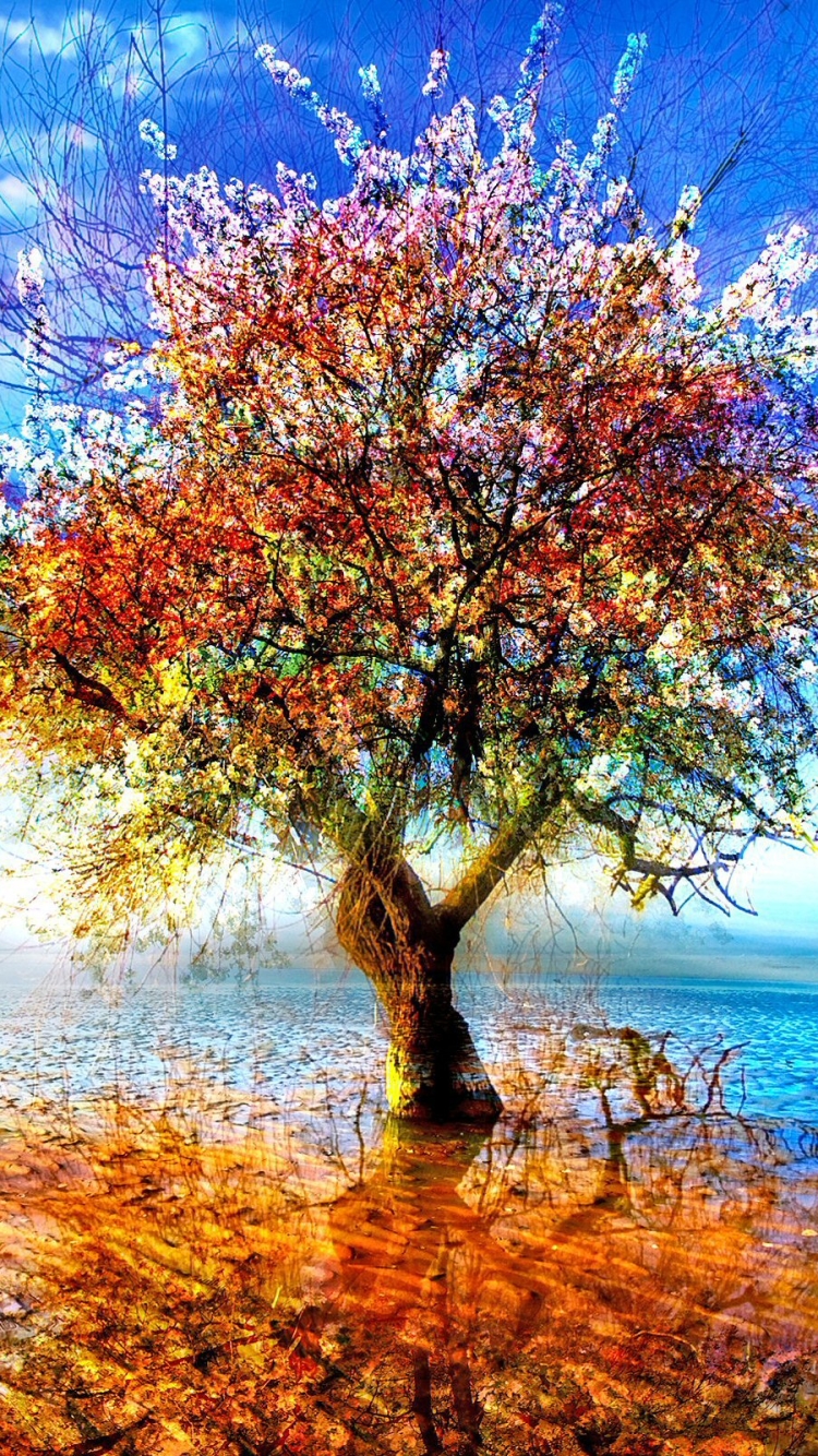 Download mobile wallpaper Trees, Tree, Earth, Colorful, Blossom, Lonely Tree for free.