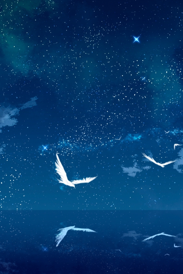 Download mobile wallpaper Anime, Landscape, Sky, Bird, Starry Sky for free.