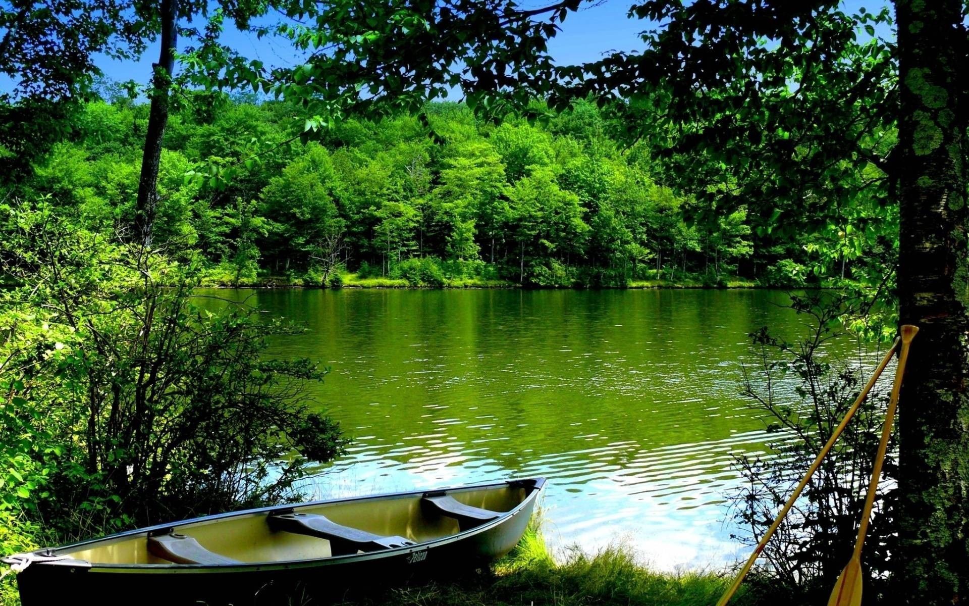 nature, boat, water, trees, oars, paddles