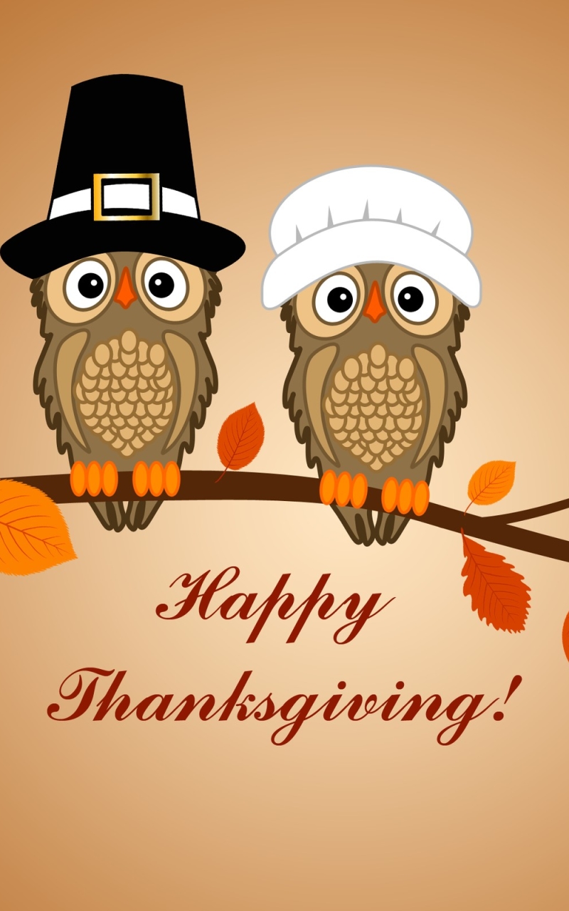 Download mobile wallpaper Holiday, Thanksgiving for free.
