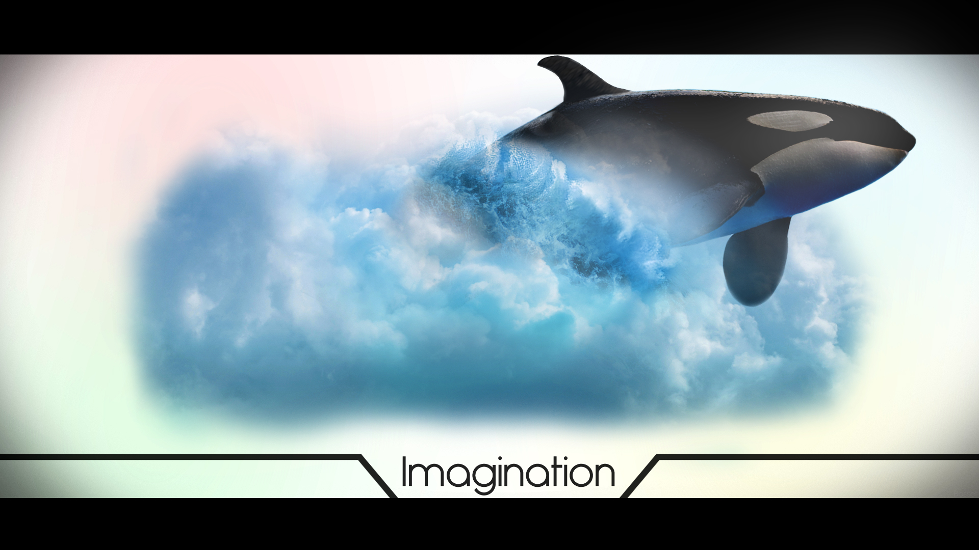 animal, whale, basset, cloud, killer whale, orca, photoshop