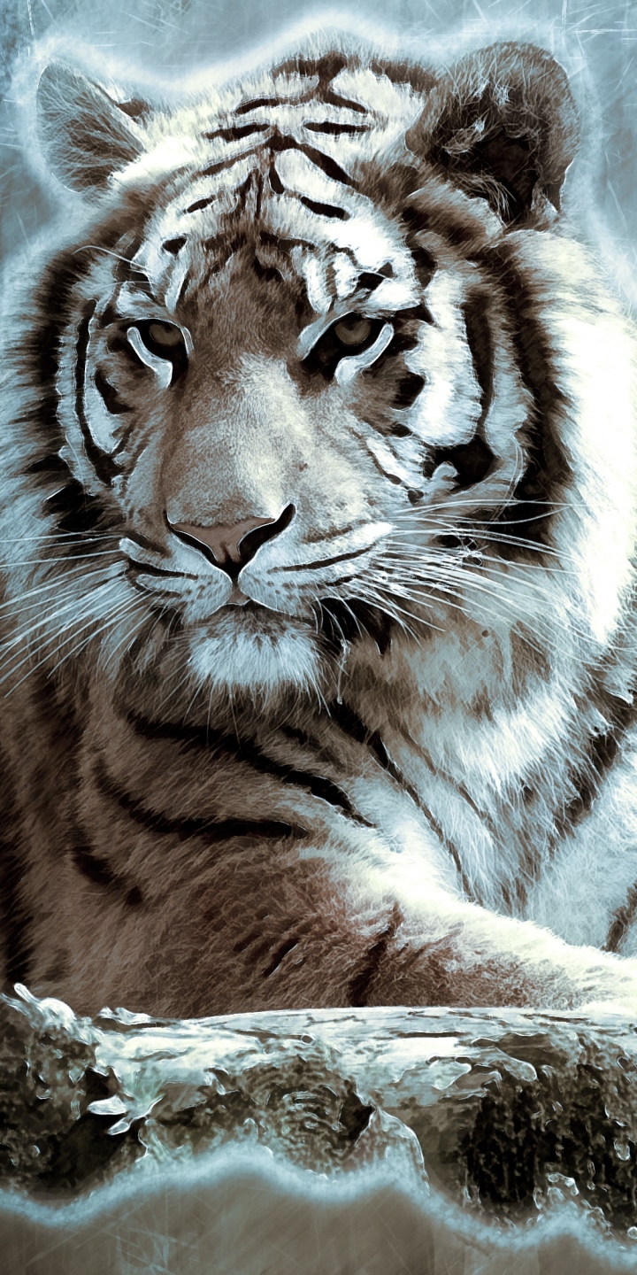 Download mobile wallpaper Cats, Tiger, Animal, White Tiger for free.