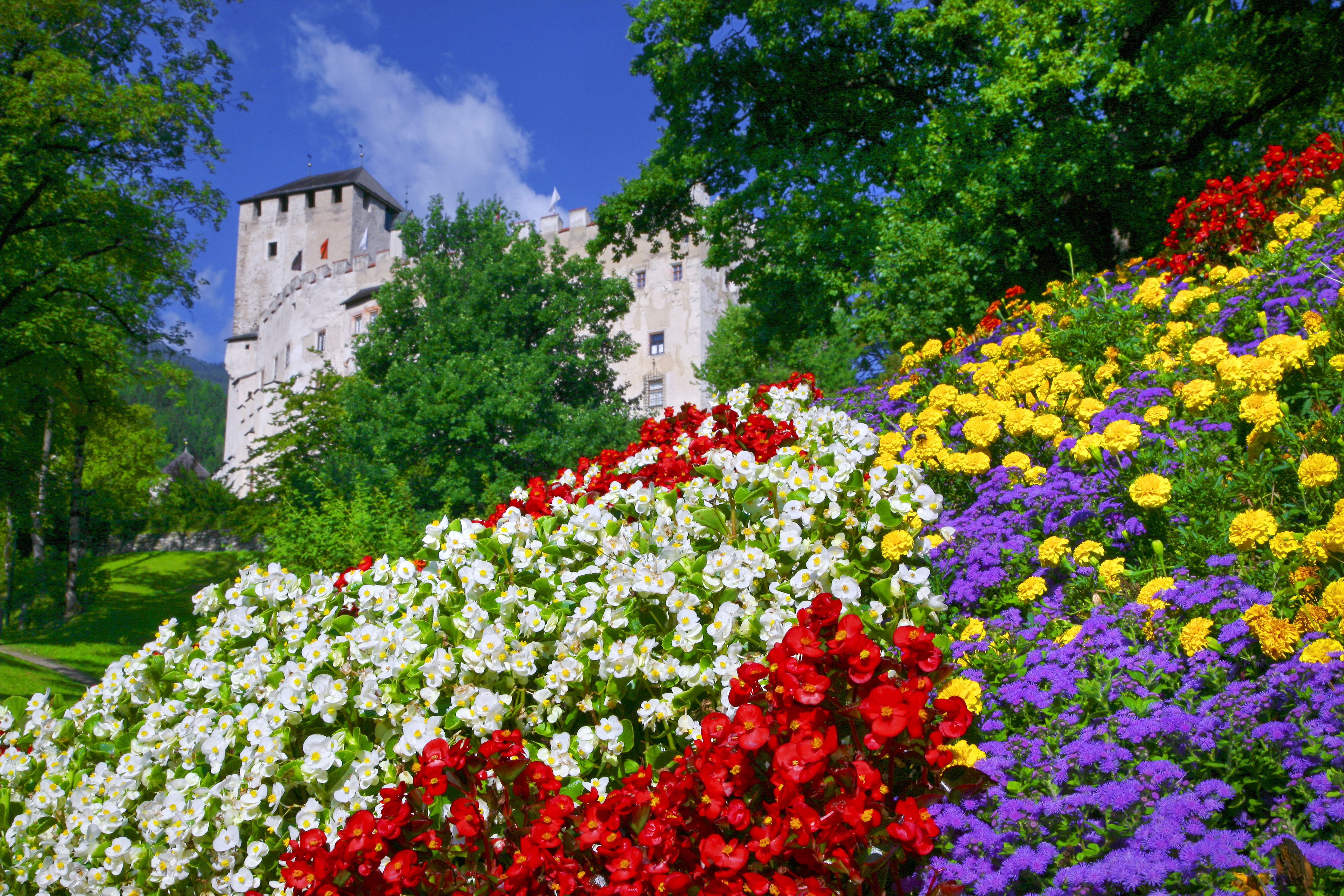 831070壁紙のダウンロードマンメイド, 花, オーストリア, 城, 地球, 紫色の花, 赤い花, 春, チロル, 白い花, 黄色い花-スクリーンセーバーと写真を無料で