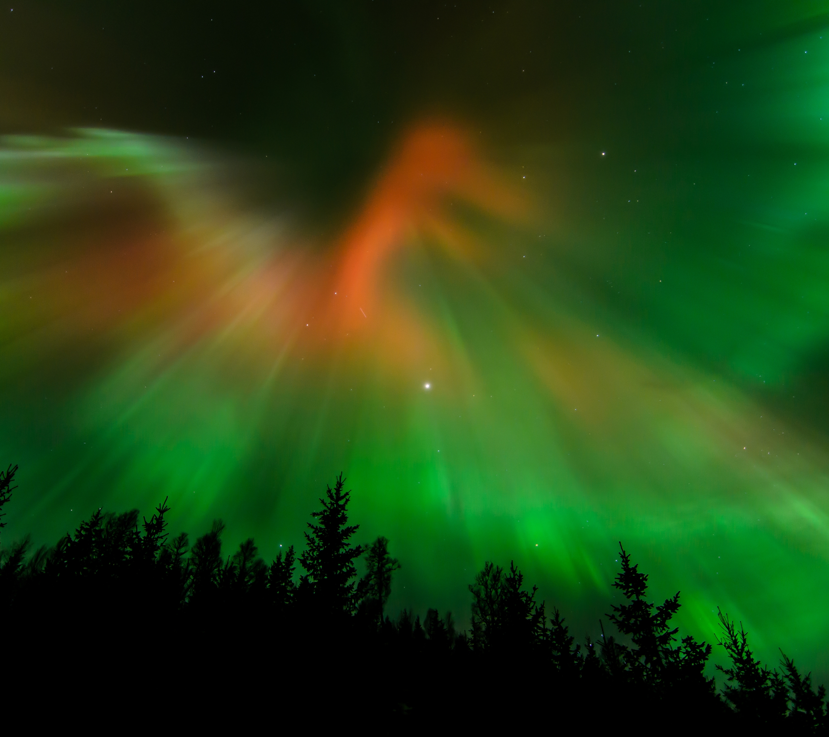 Скачать картинку Небо, Северное Сияние, Норвегия, Земля/природа в телефон бесплатно.