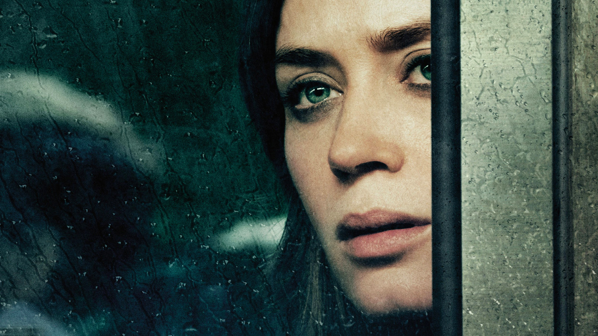 movie, the girl on the train (2016), emily blunt