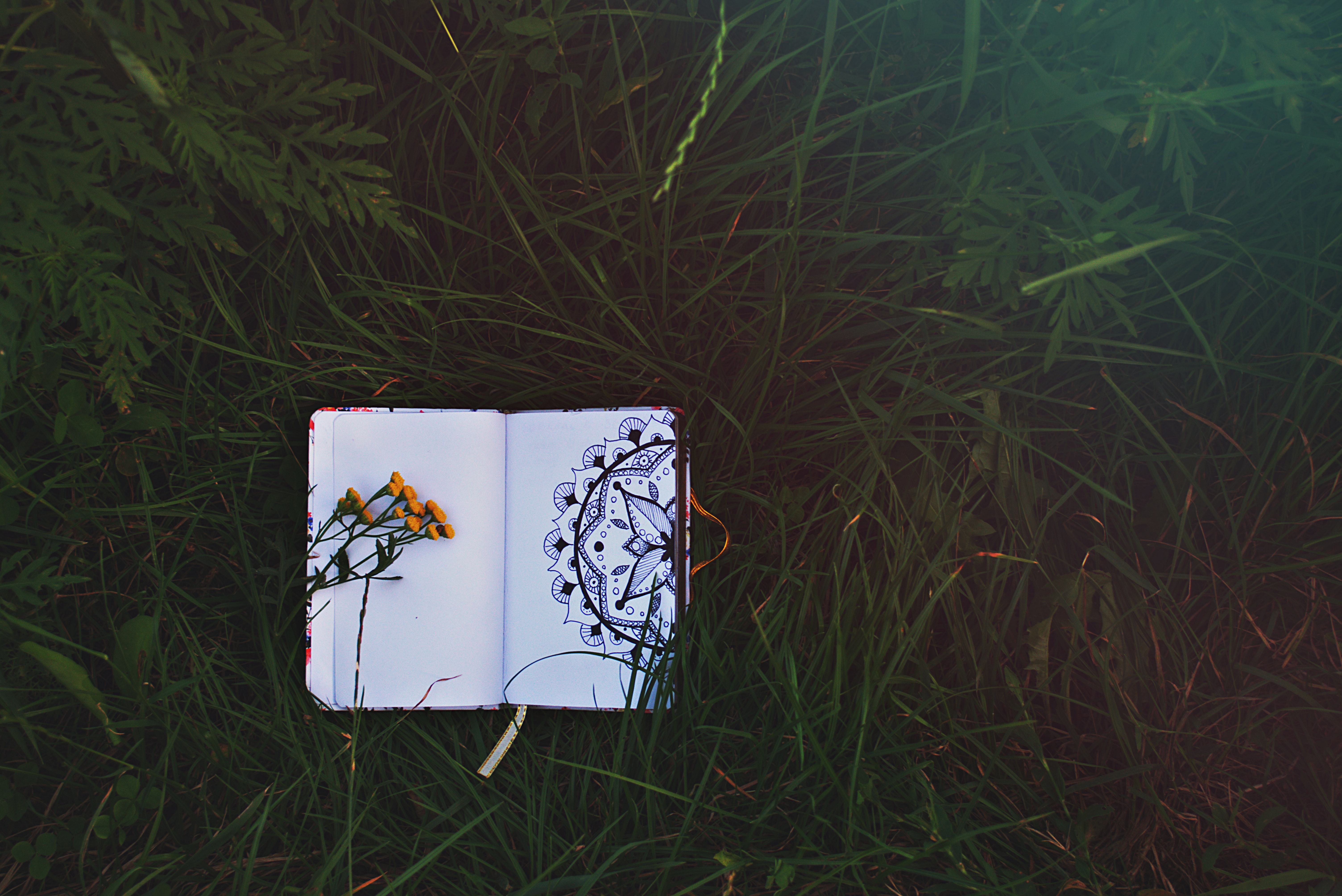 flowers, grass, patterns, miscellanea, miscellaneous, notebook, notepad