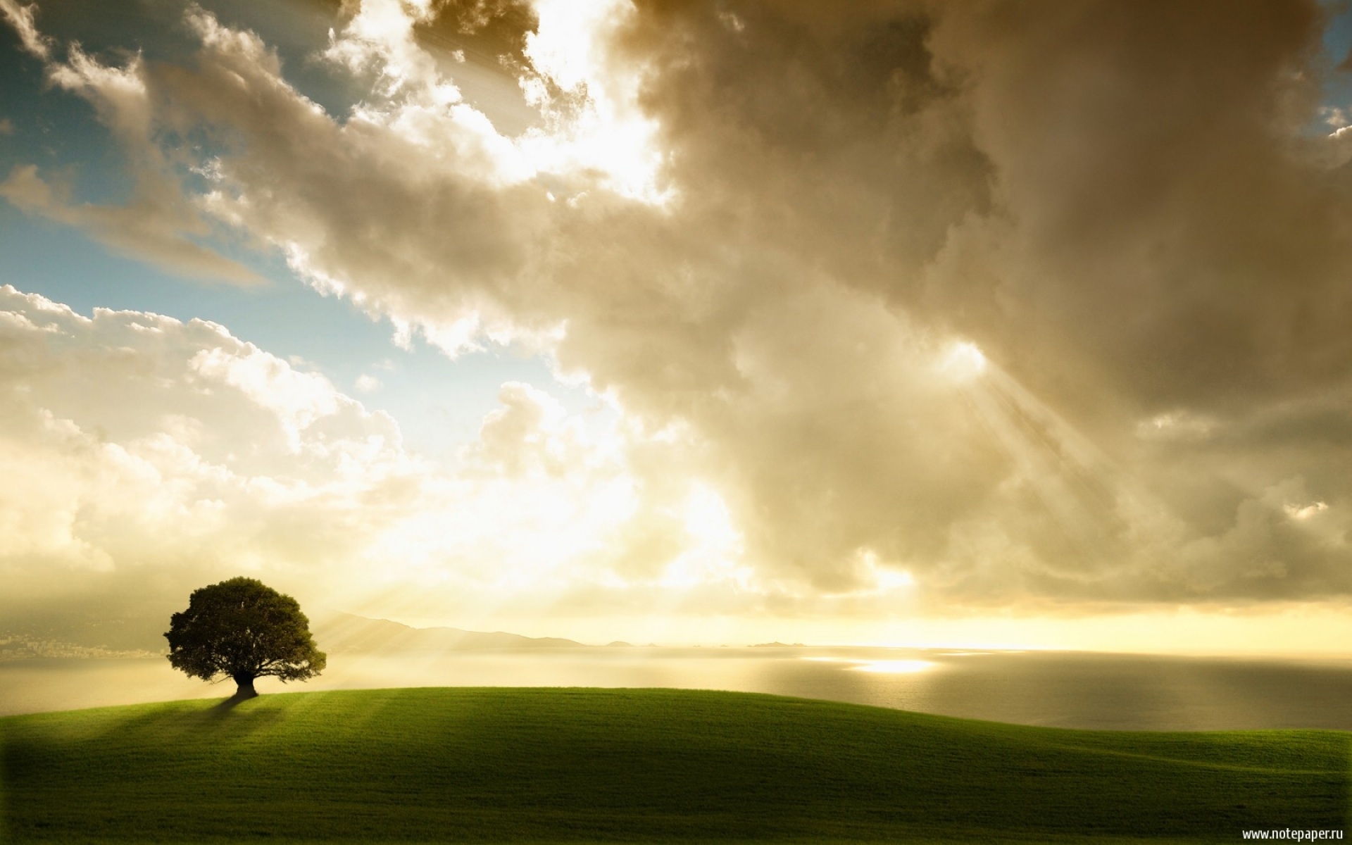 Free download wallpaper Landscape, Trees, Clouds, Fields on your PC desktop