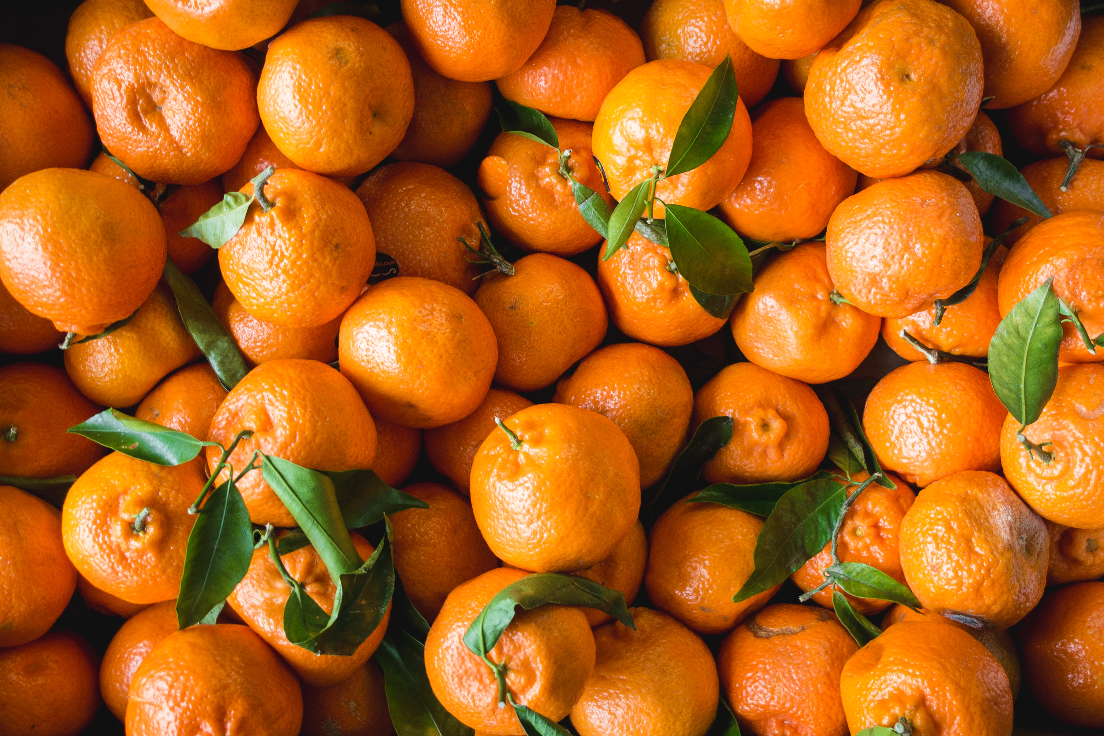 food, fruits, tangerines, citrus HD wallpaper