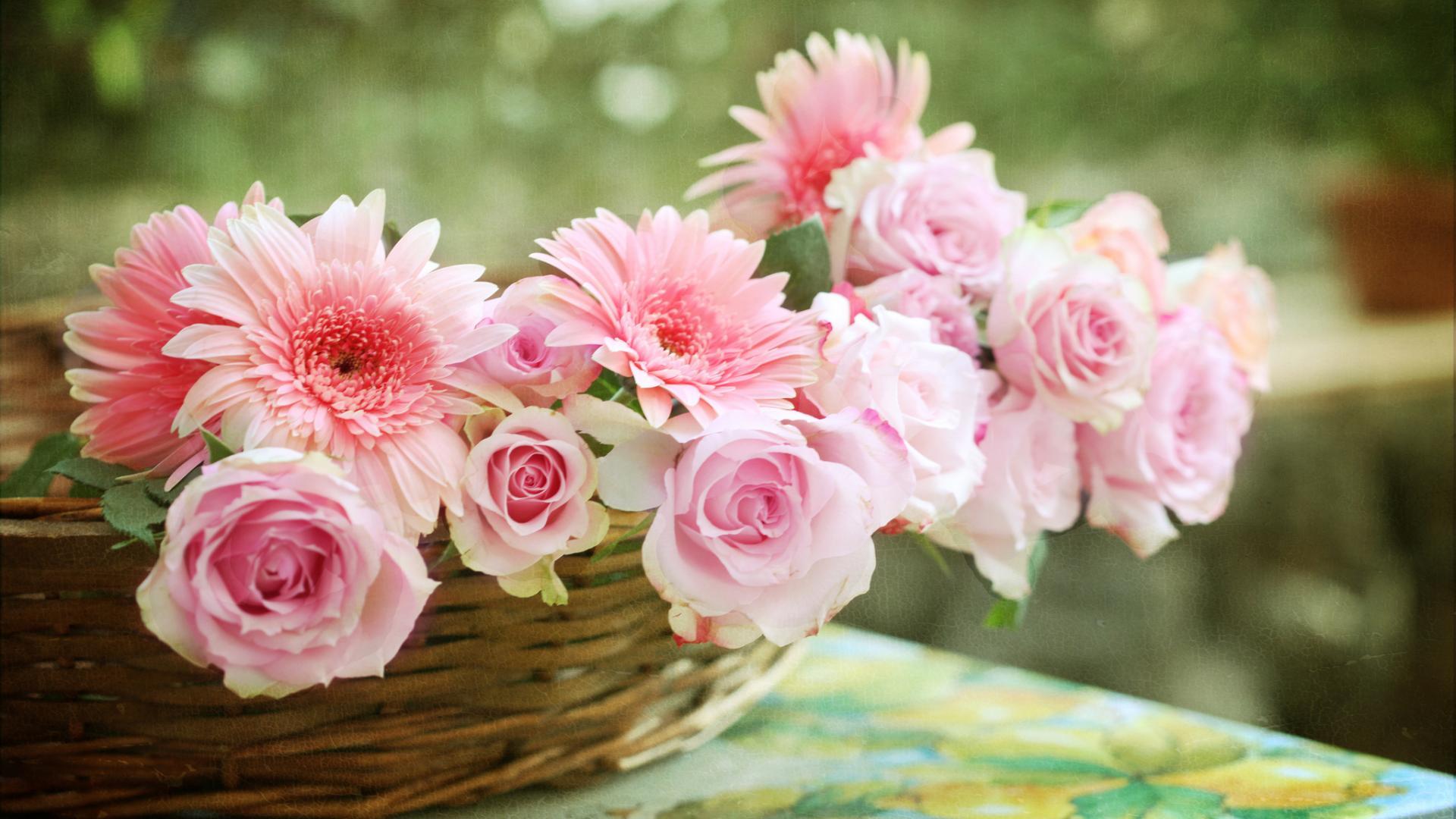 Descarga gratis la imagen Flores, Plantas en el escritorio de tu PC