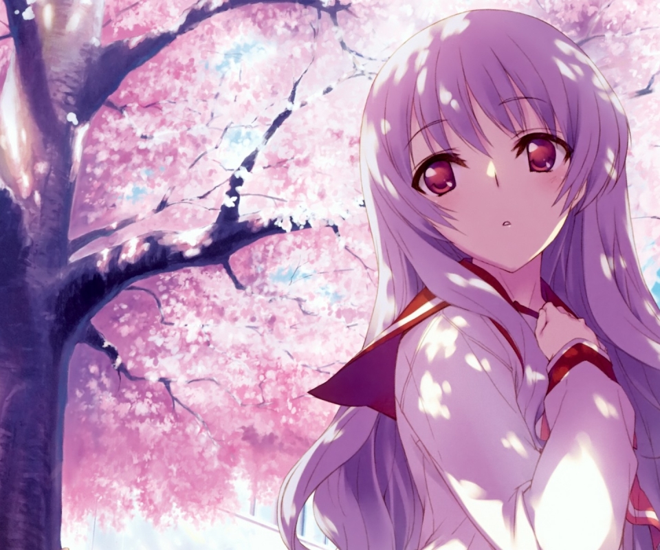 Download mobile wallpaper Anime, Girl, Cherry Blossom for free.