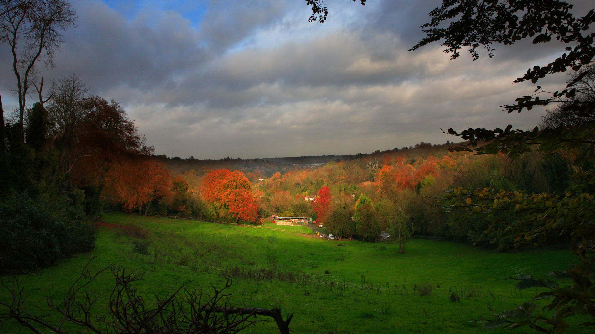 Descarga gratis la imagen Otoño, Tierra/naturaleza en el escritorio de tu PC