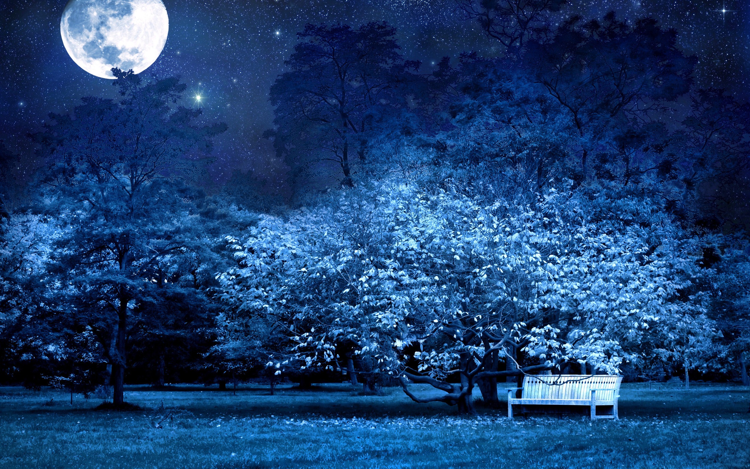 Free download wallpaper Moon, Park, Photography on your PC desktop