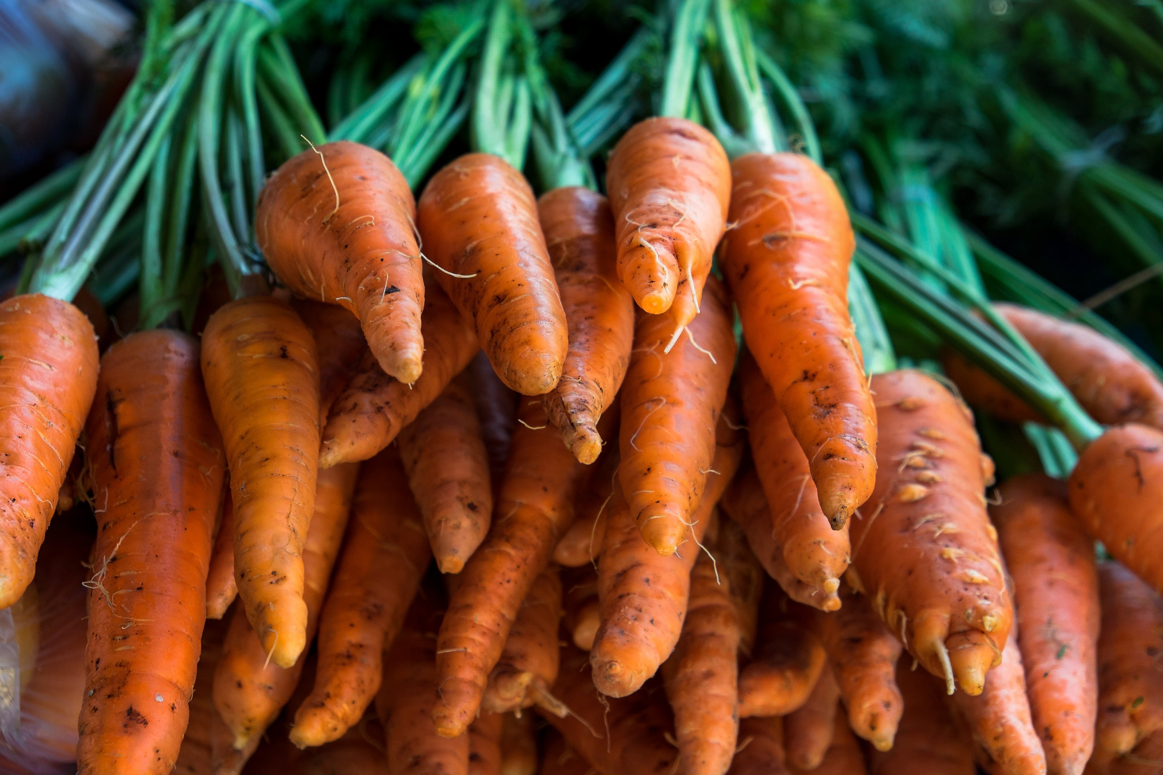 Завантажити шпалери безкоштовно Морква, Харчування картинка на робочий стіл ПК