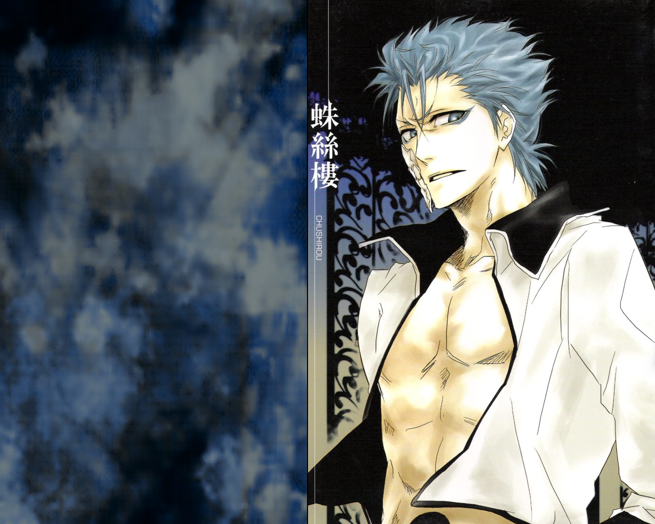 Free download wallpaper Anime, Bleach, Grimmjow Jaegerjaquez on your PC desktop