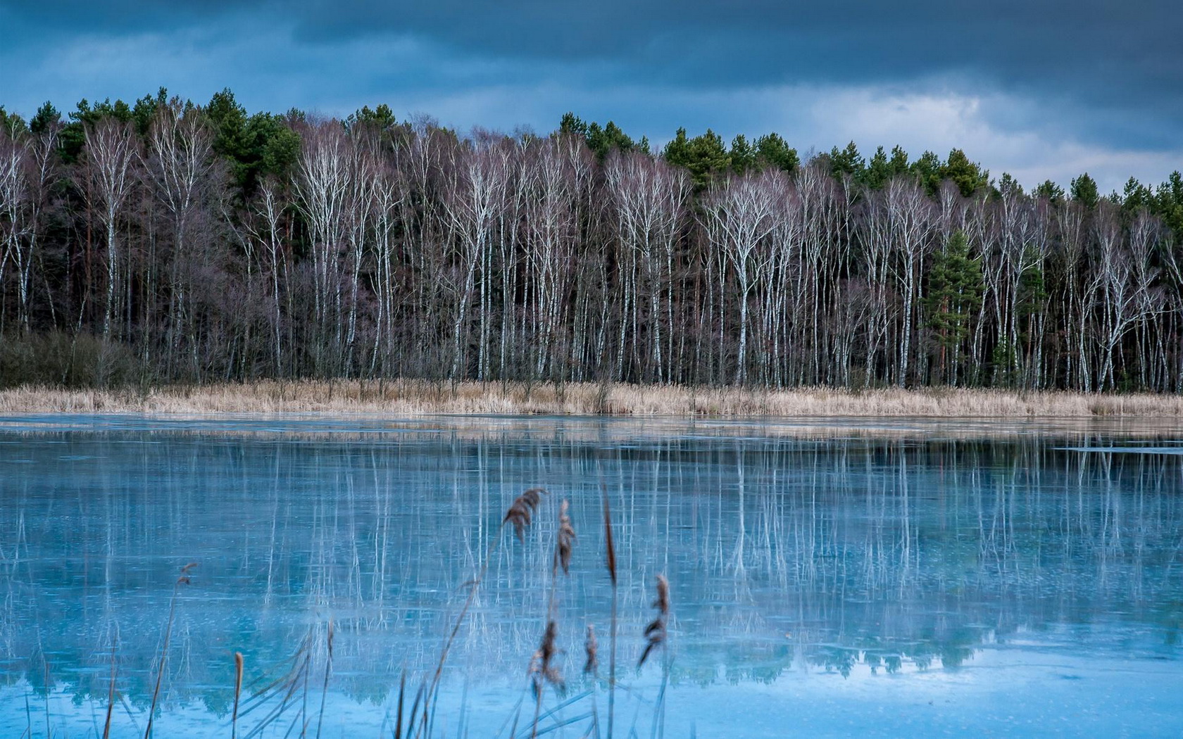 Baixe gratuitamente a imagem Lago, Terra/natureza na área de trabalho do seu PC