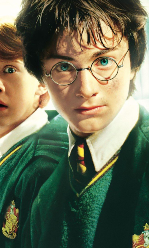 Download mobile wallpaper Harry Potter, Movie, Harry Potter And The Chamber Of Secrets for free.