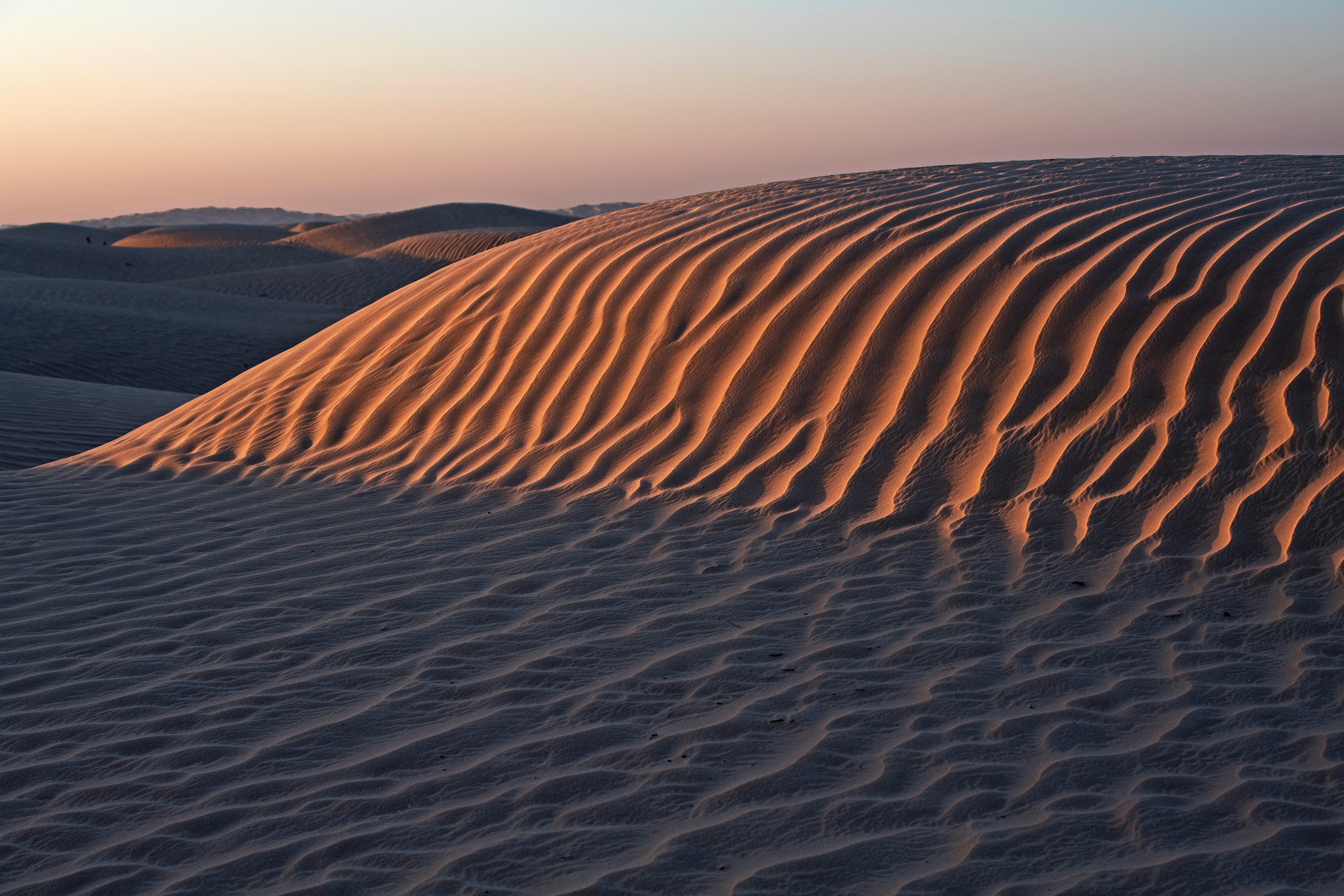 dunes, desert, landscape, nature, sand, hills, links