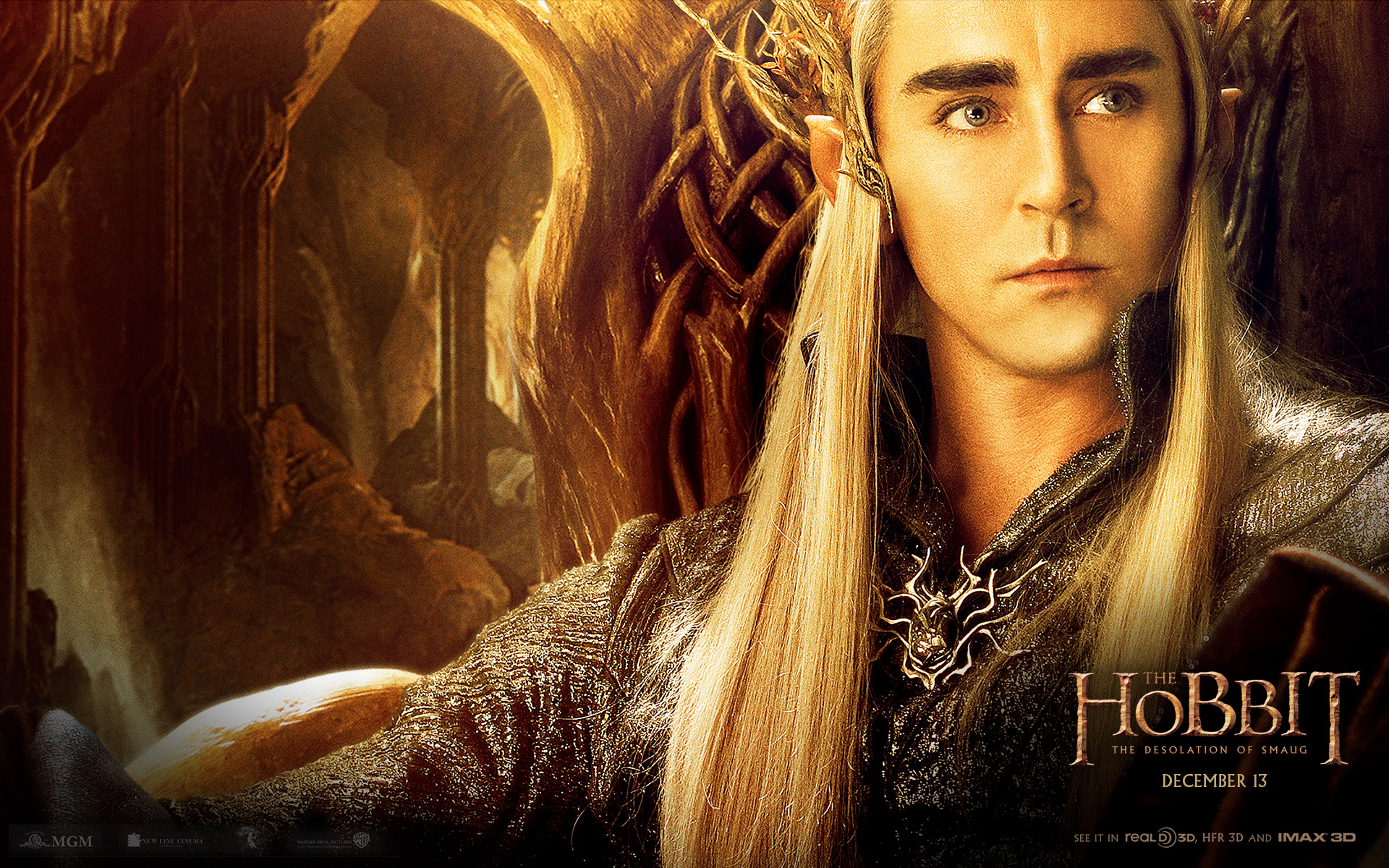 316560 télécharger le fond d'écran film, le hobbit : la désolation de smaug, le seigneur des anneaux - économiseurs d'écran et images gratuitement