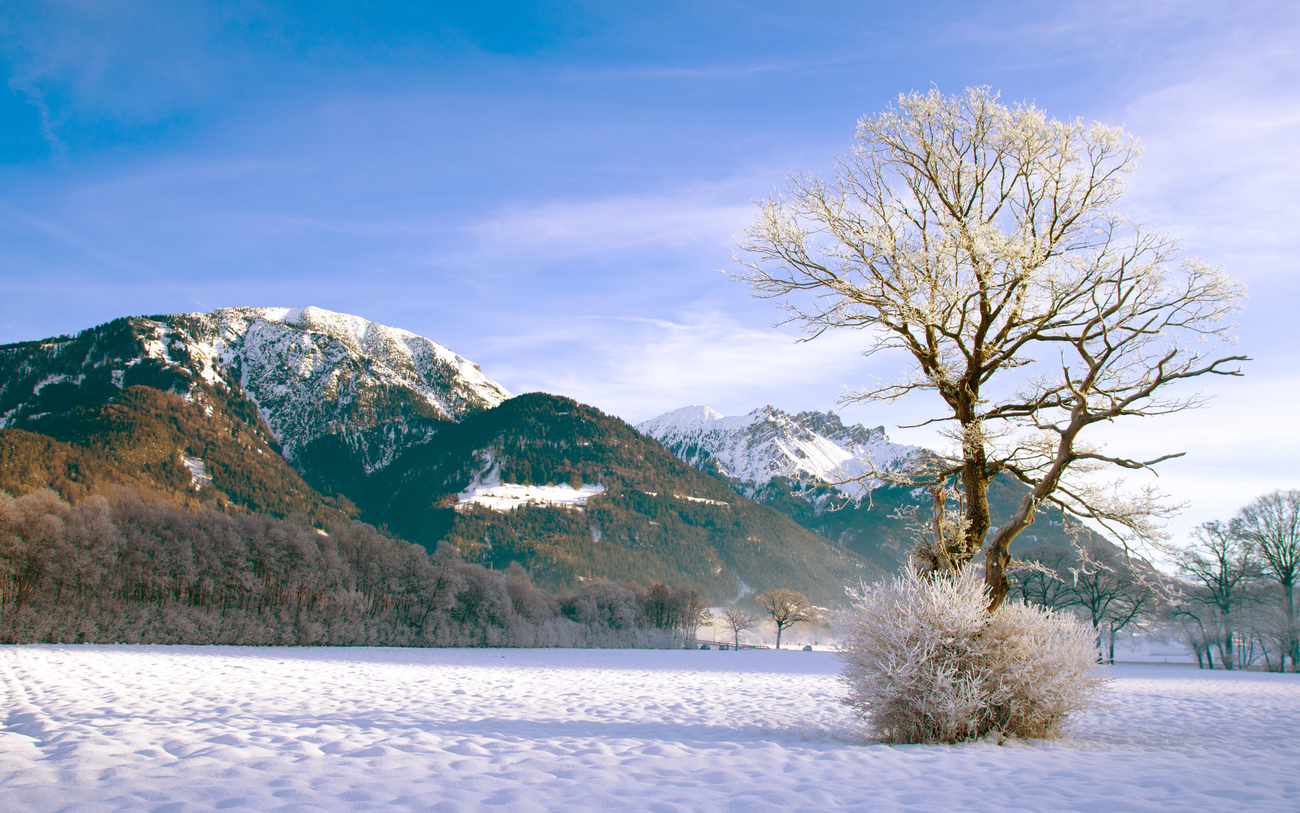 Téléchargez gratuitement l'image Hiver, Terre/nature sur le bureau de votre PC