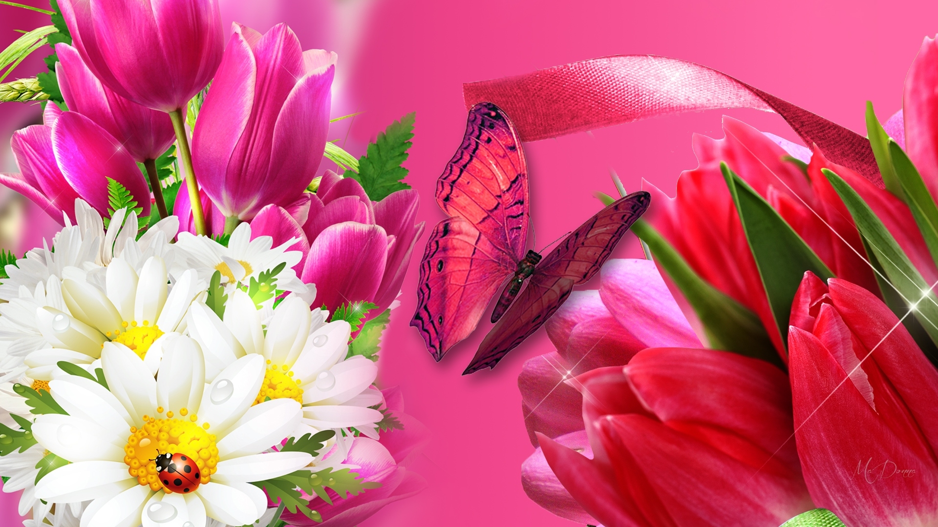Handy-Wallpaper Schmetterlinge, Blumen, Blume, Tulpe, Gänseblümchen, Künstlerisch kostenlos herunterladen.