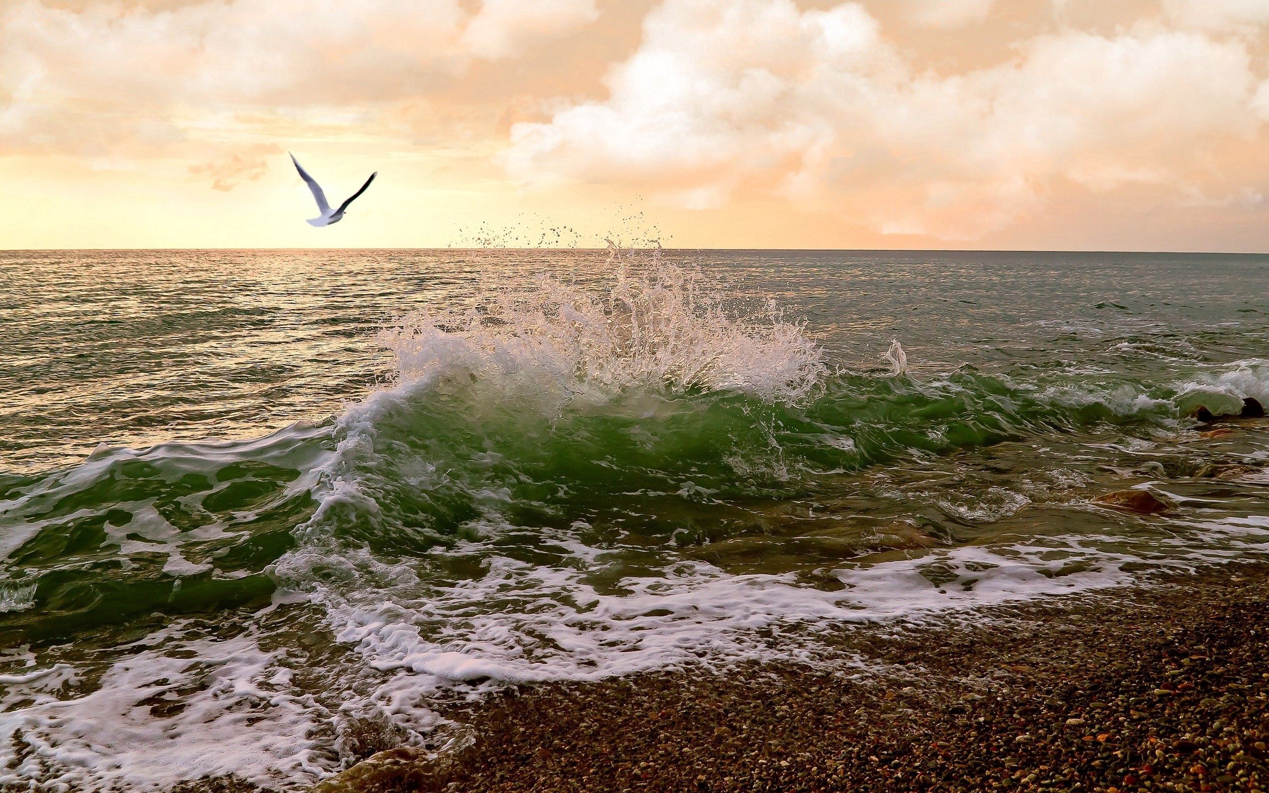 Download mobile wallpaper Gull, Surf, Seagull, Nature, Sky, Waves, Sea for free.