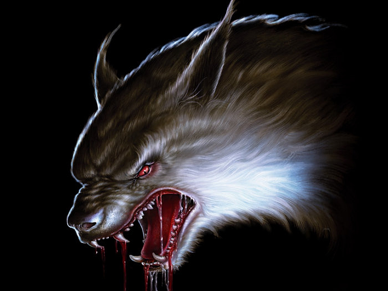 Free download wallpaper Dark, Werewolf on your PC desktop