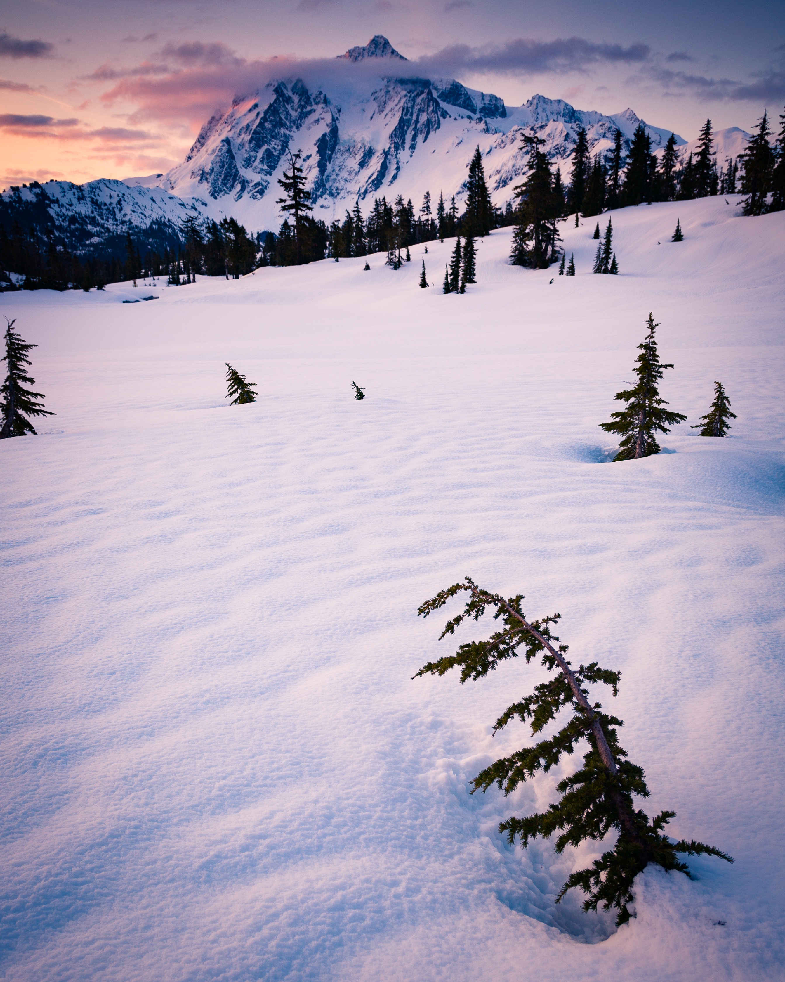 Скачать обои бесплатно Гора, Снег, Облака, Деревья, Природа, Зима картинка на рабочий стол ПК