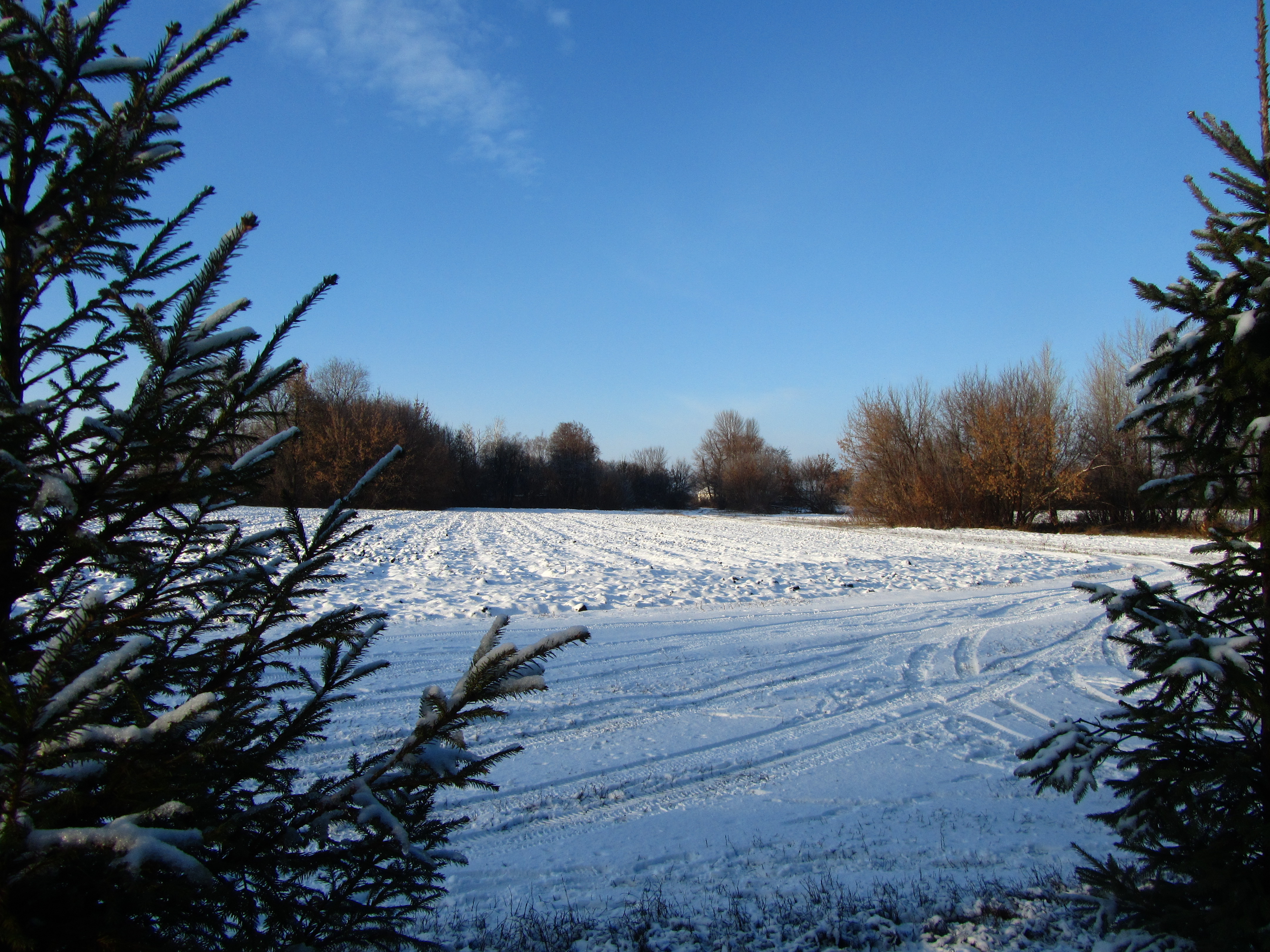 Handy-Wallpaper Winter, Fotografie kostenlos herunterladen.