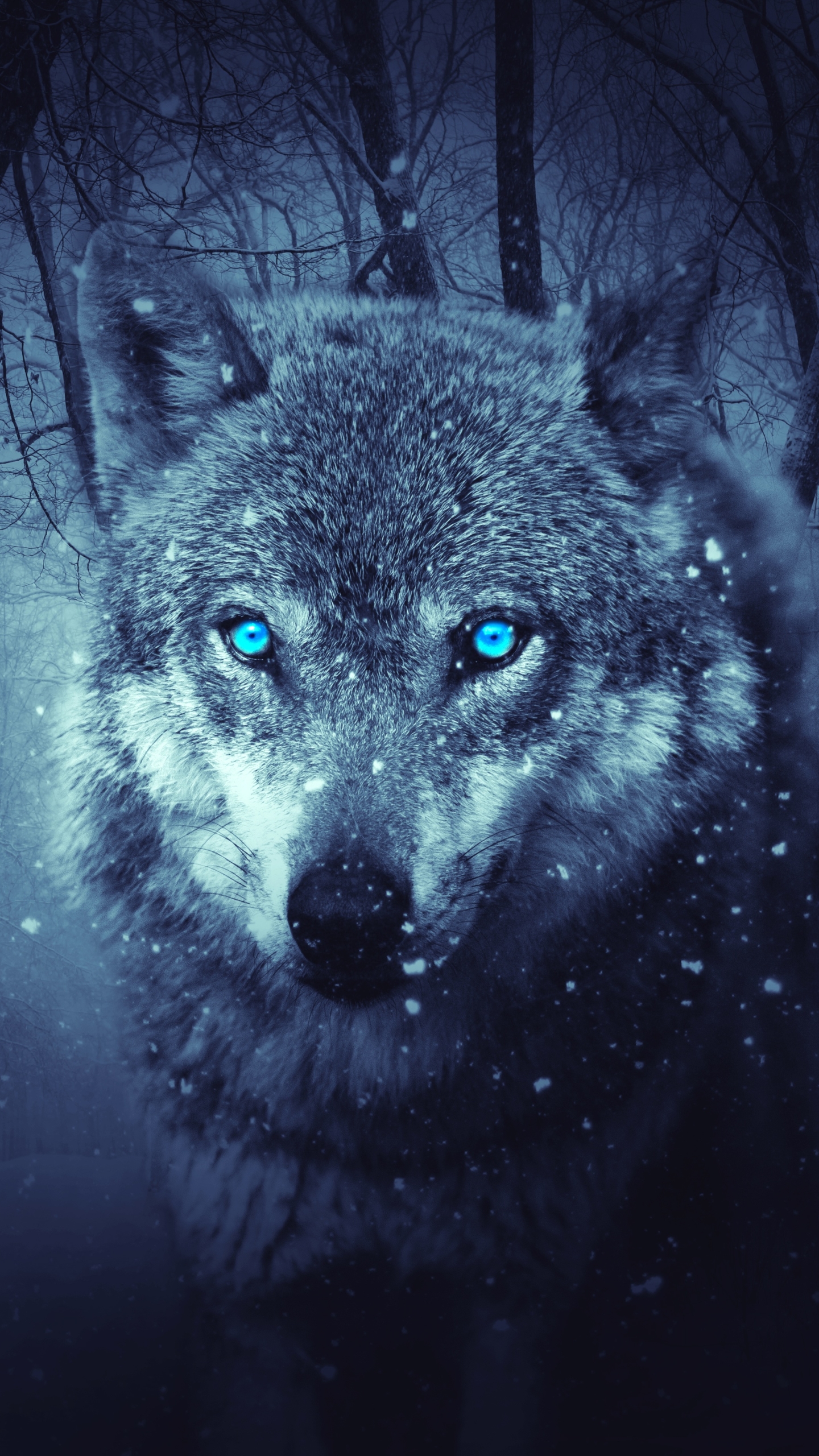 Скачать картинку Фэнтези, Лес, Волк, Снегопад, Голубые Глаза, Фэнтези Животные в телефон бесплатно.