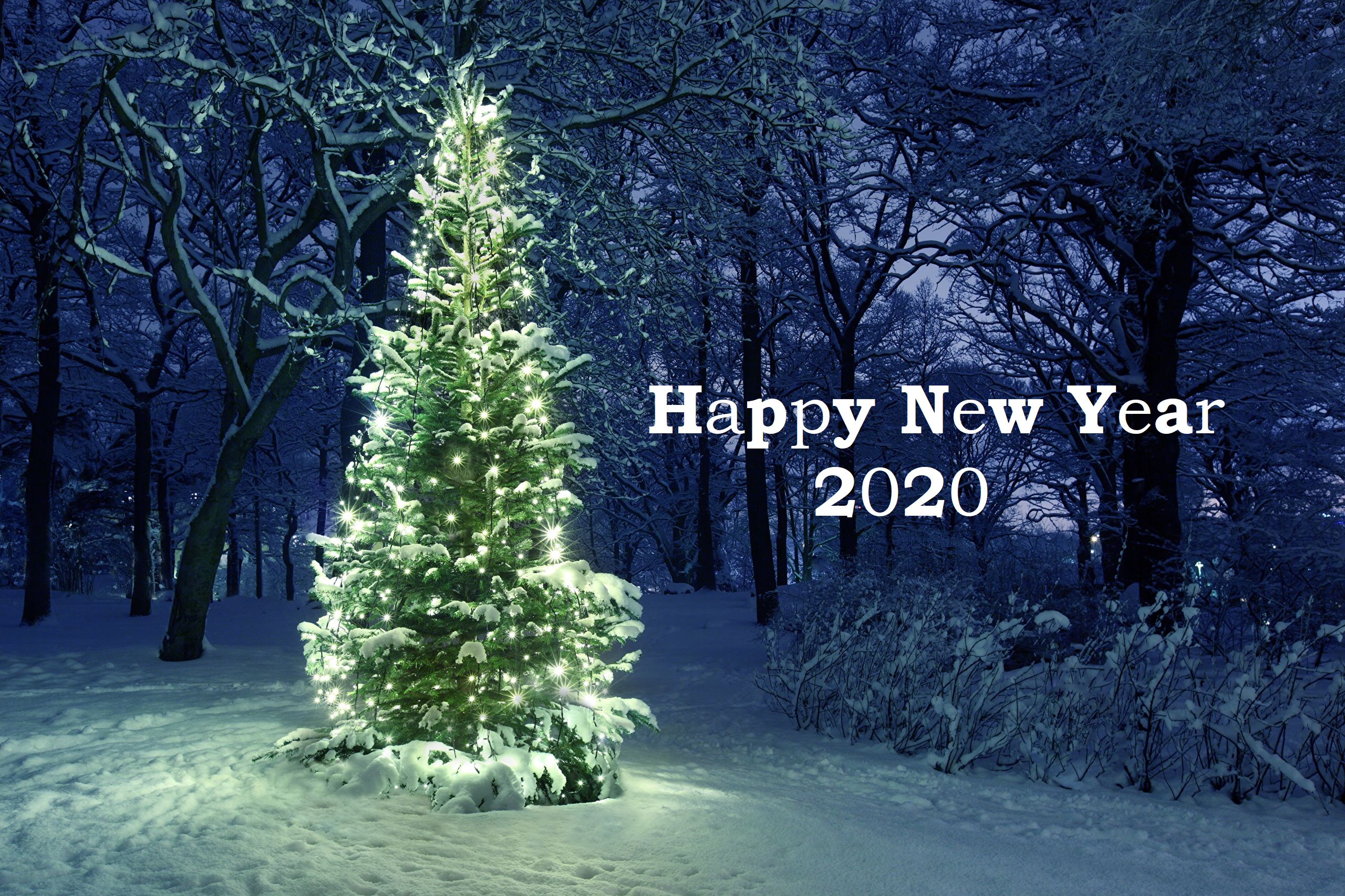 1532961 descargar fondo de pantalla día festivo, año nuevo 2020, árbol de navidad, feliz año nuevo: protectores de pantalla e imágenes gratis