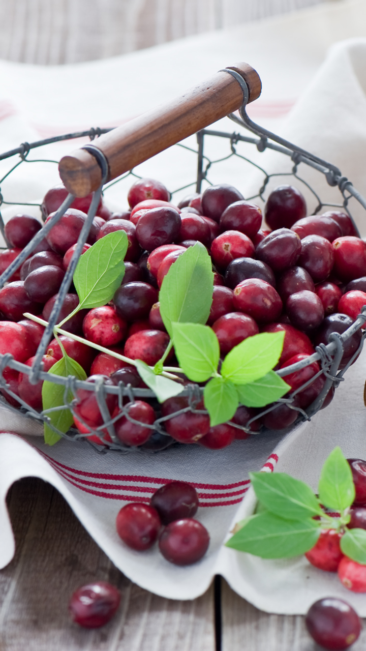 food, cranberry, jam, fruit, berry, still life HD wallpaper