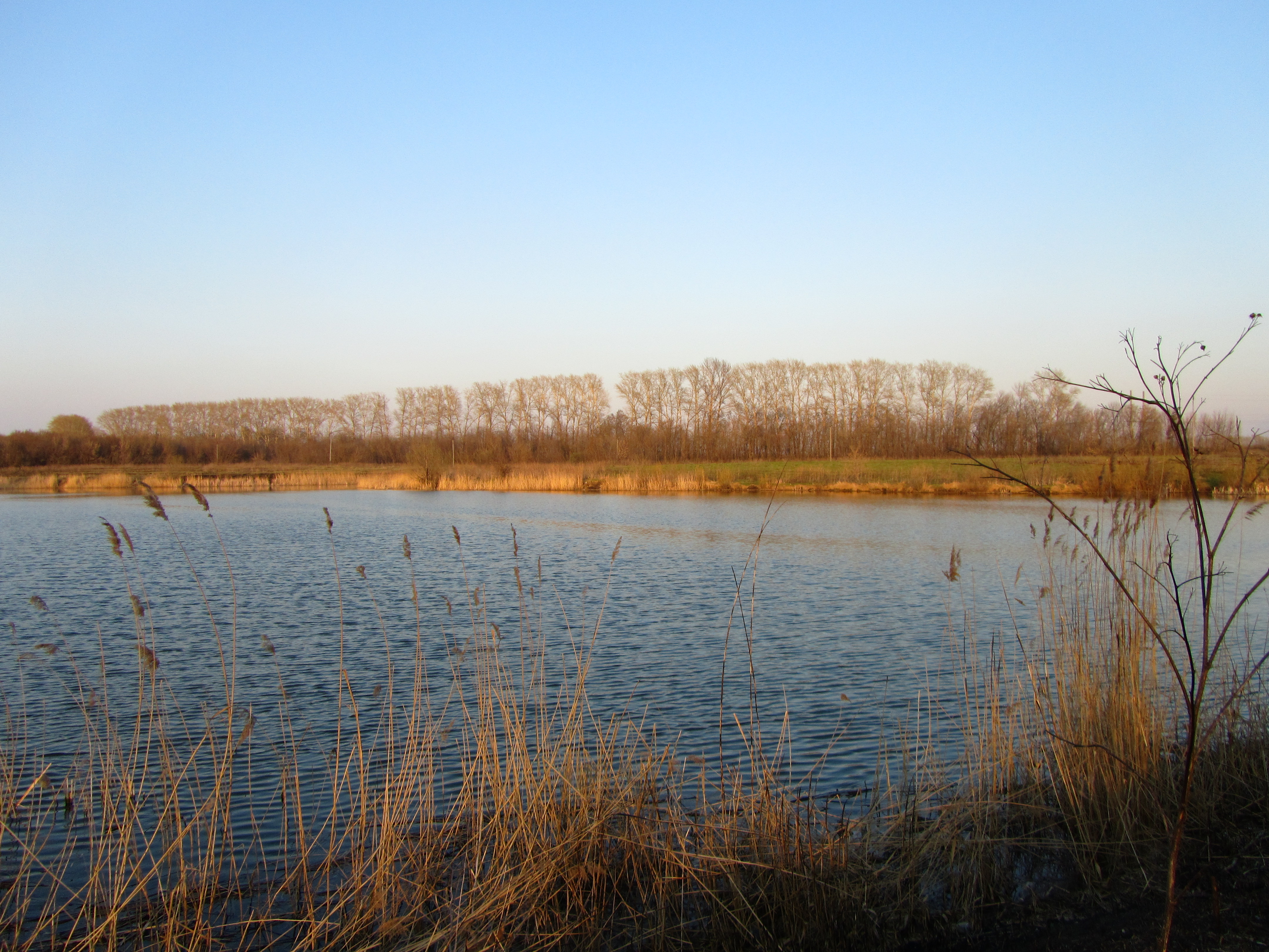 Laden Sie das Fluss, Erde/natur-Bild kostenlos auf Ihren PC-Desktop herunter