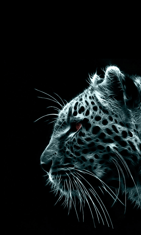 Handy-Wallpaper Tiere, Katzen, Leopard kostenlos herunterladen.