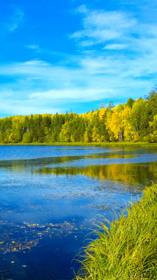 Descarga gratuita de fondo de pantalla para móvil de Naturaleza, Hierba, Cielo, Lagos, Lago, Bosque, Césped, Tierra/naturaleza.