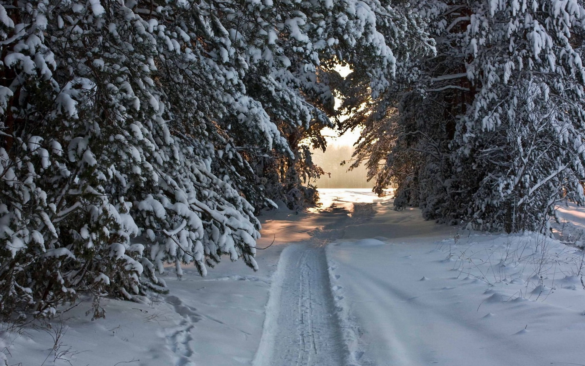 Baixe gratuitamente a imagem Inverno, Neve, Caminho, Árvore, Terra/natureza na área de trabalho do seu PC