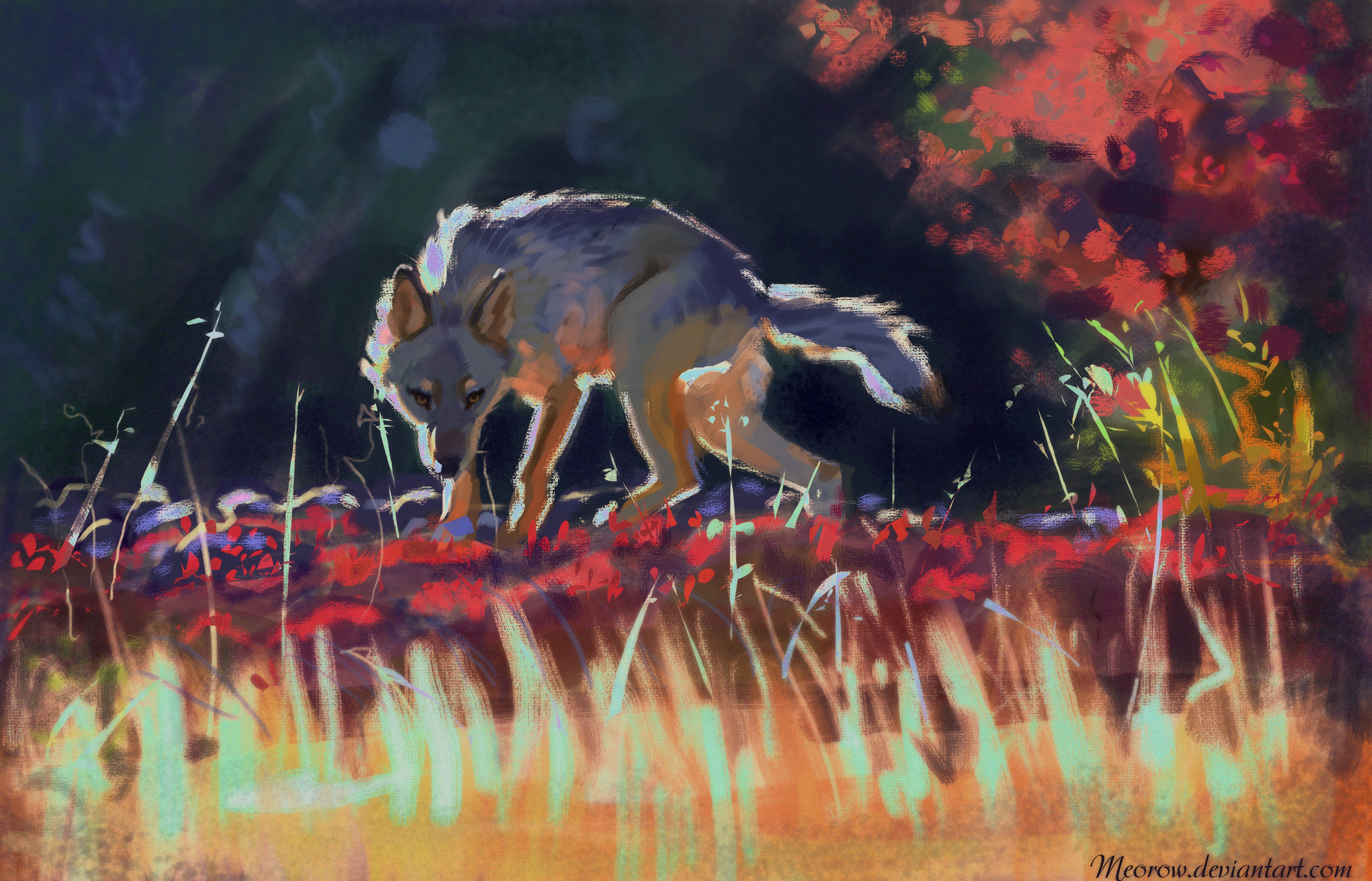 Laden Sie das Wildlife, Wilde Natur, Grass, Kunst, Predator, Raubtier, Wolf-Bild kostenlos auf Ihren PC-Desktop herunter