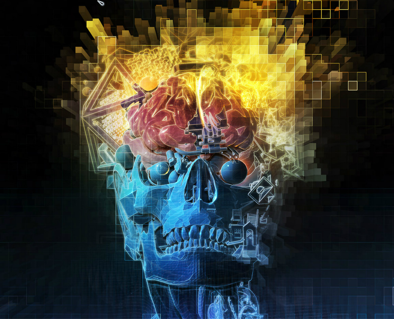 Download mobile wallpaper Dark, Skull for free.