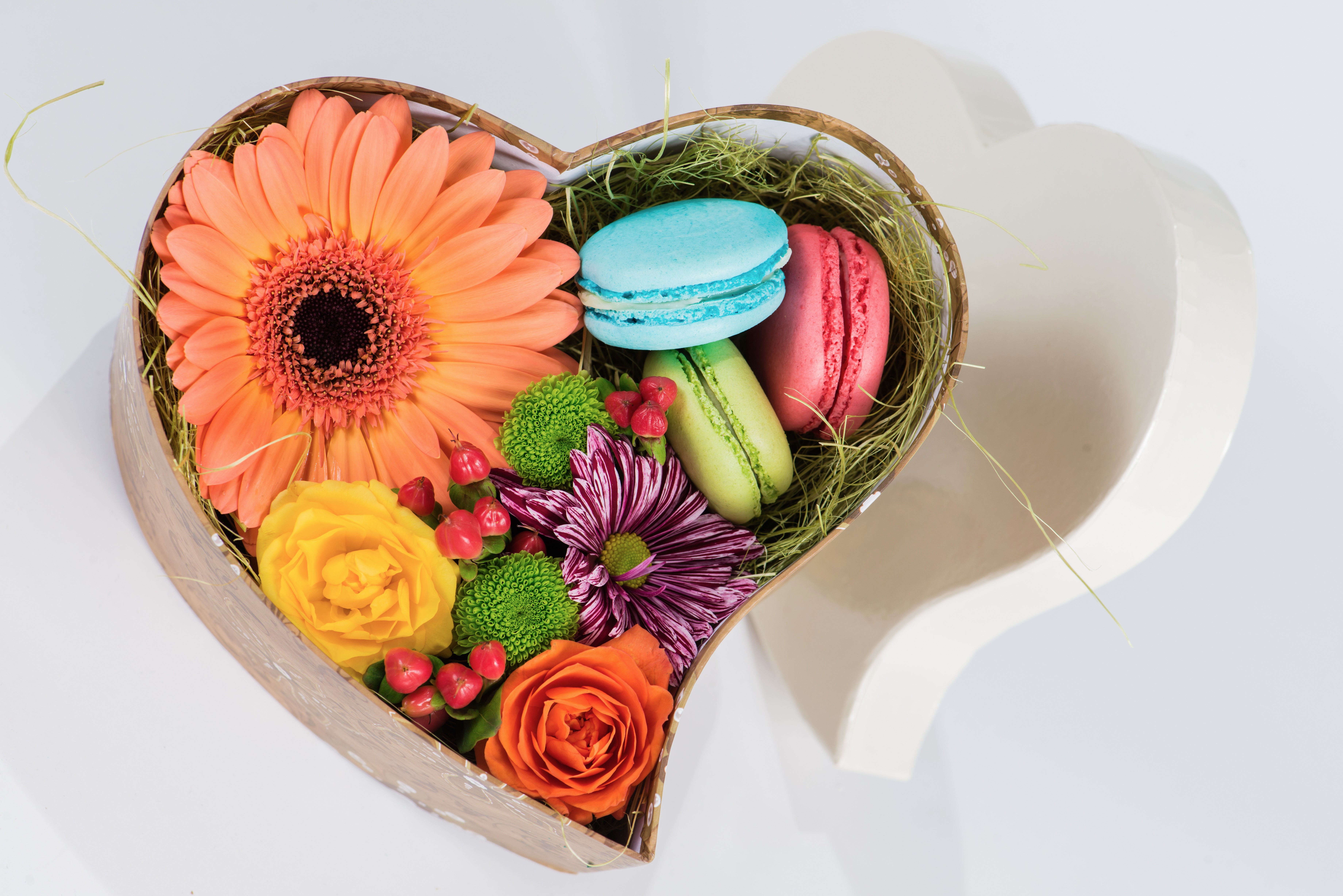 Free download wallpaper Still Life, Flower, Colorful, Photography, Macaron, Heart Shaped on your PC desktop