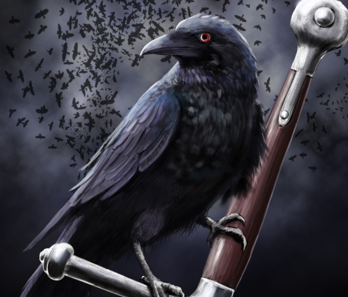 Download mobile wallpaper Animal, Raven, Crow for free.