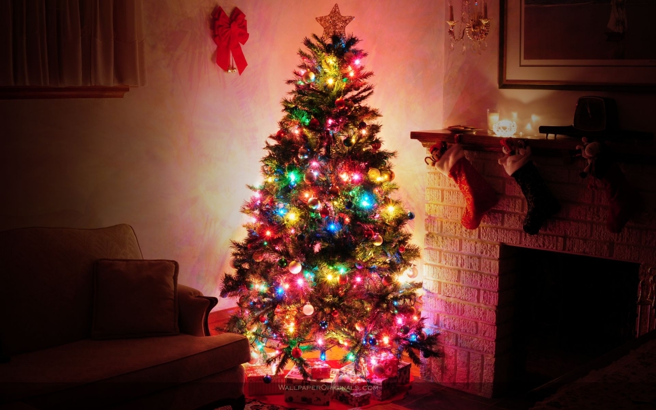 Handy-Wallpaper Feiertage, Bäume, Neujahr, Tannenbaum, Pflanzen, Weihnachten kostenlos herunterladen.