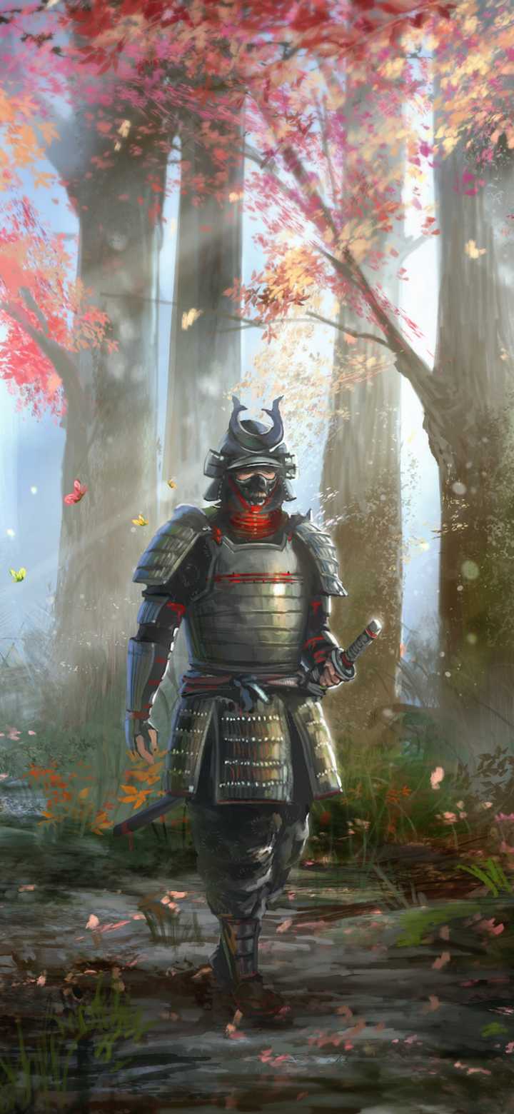 Download mobile wallpaper Fantasy, Samurai for free.