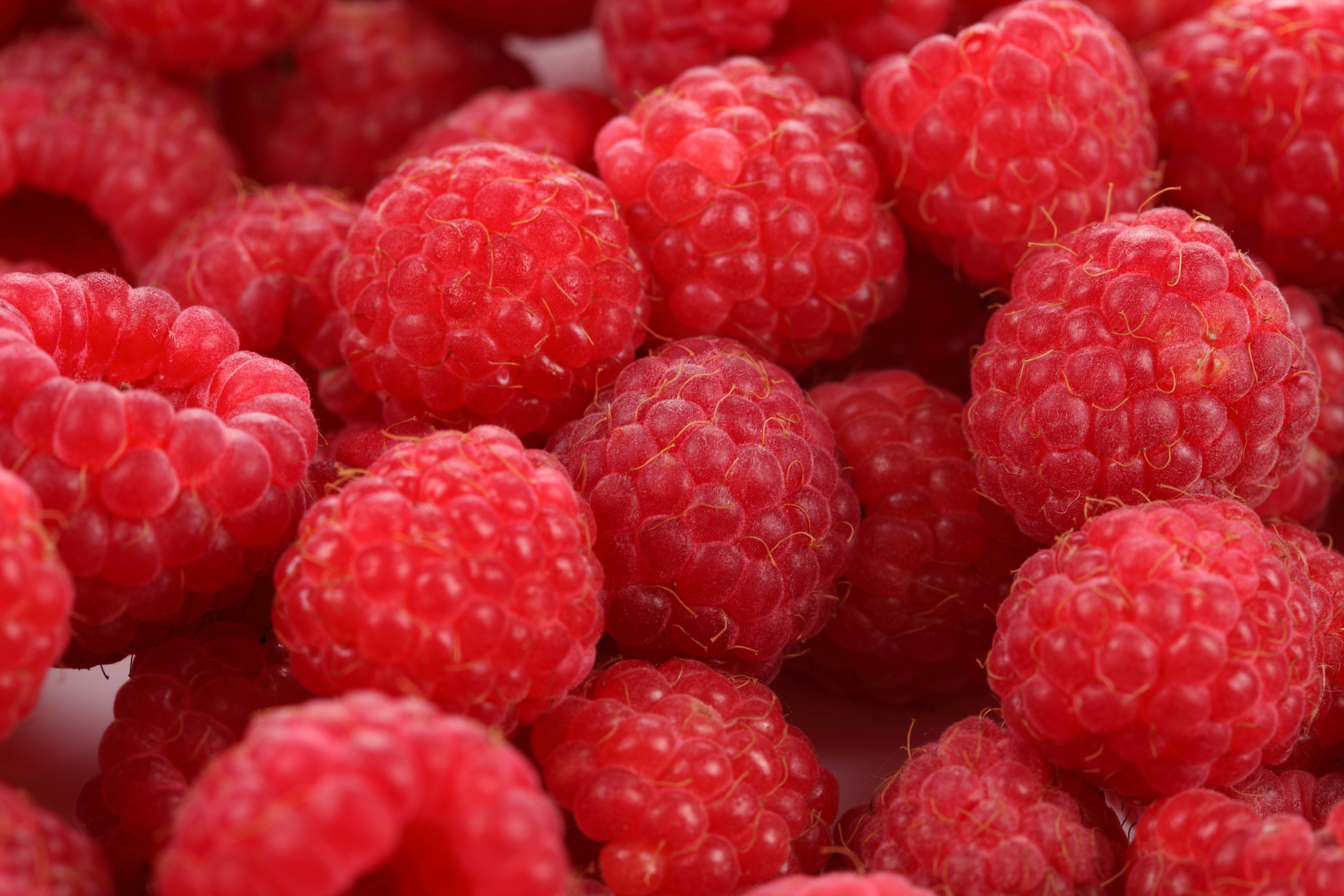 Download mobile wallpaper Fruits, Food, Raspberry, Macro, Berry, Fruit for free.