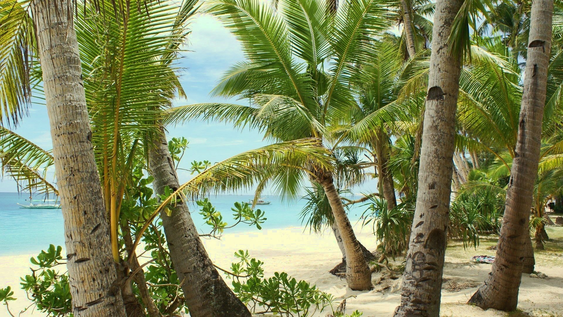 Laden Sie das Landschaft, Sand, Palms, Sea, Strand-Bild kostenlos auf Ihren PC-Desktop herunter
