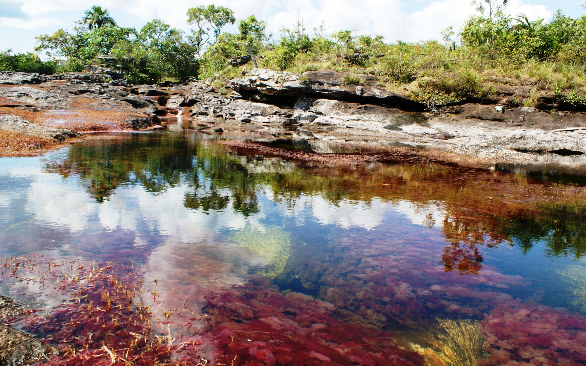 Téléchargez gratuitement l'image Terre/nature, Caño Cristales sur le bureau de votre PC